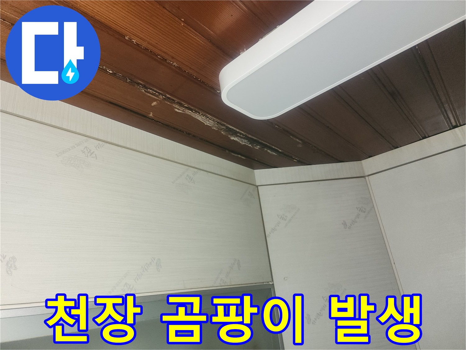 윗집에서-새는-물로-인해-천장에-생긴-물자국과-곰팡이-징후