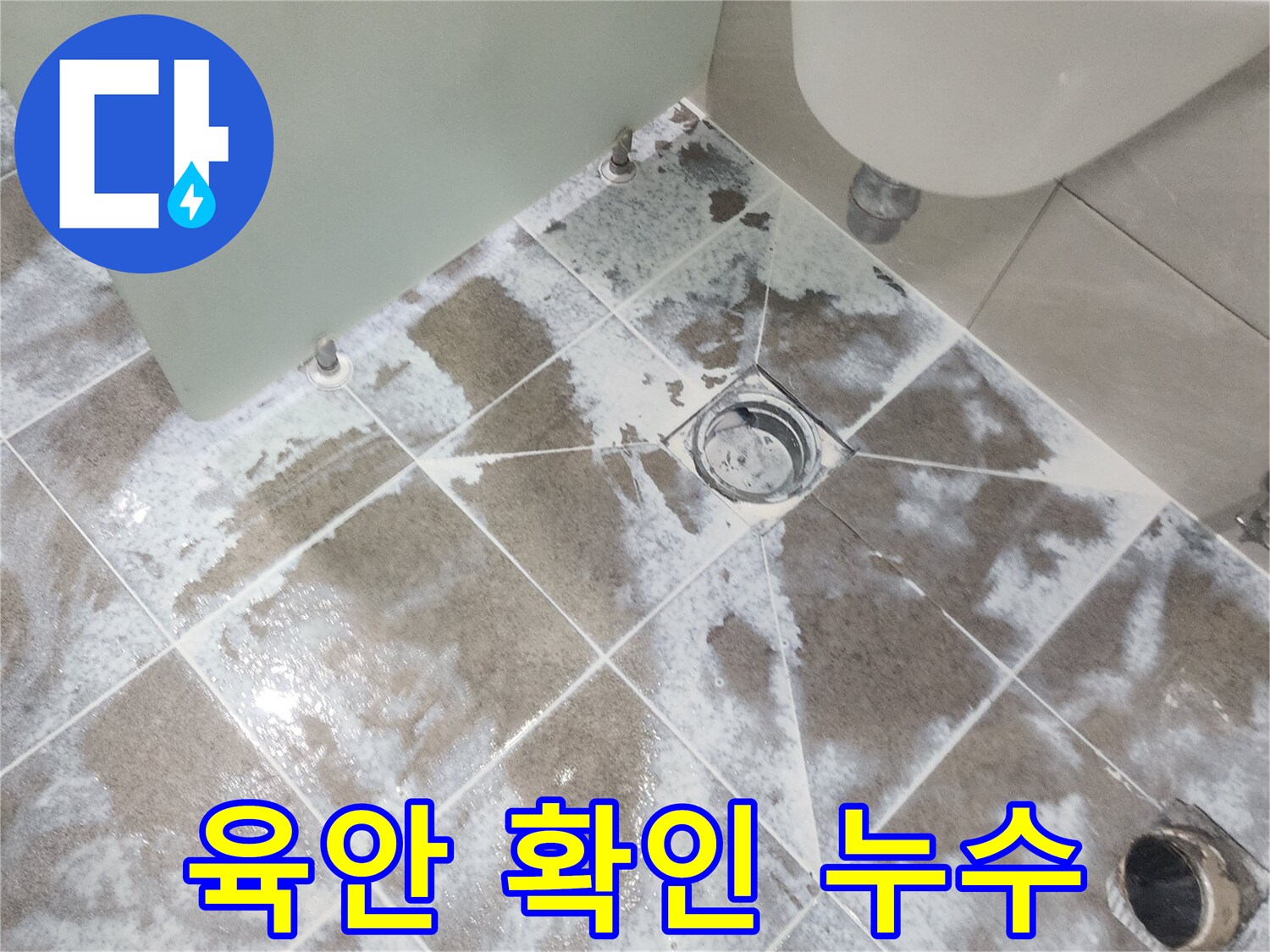경기 고양시-욕실 바닥 타일-배수구 주변에 나타난-하얀 물자국과 변색으로-육안으로 확인된-누수 문제점을 보여주는 사진