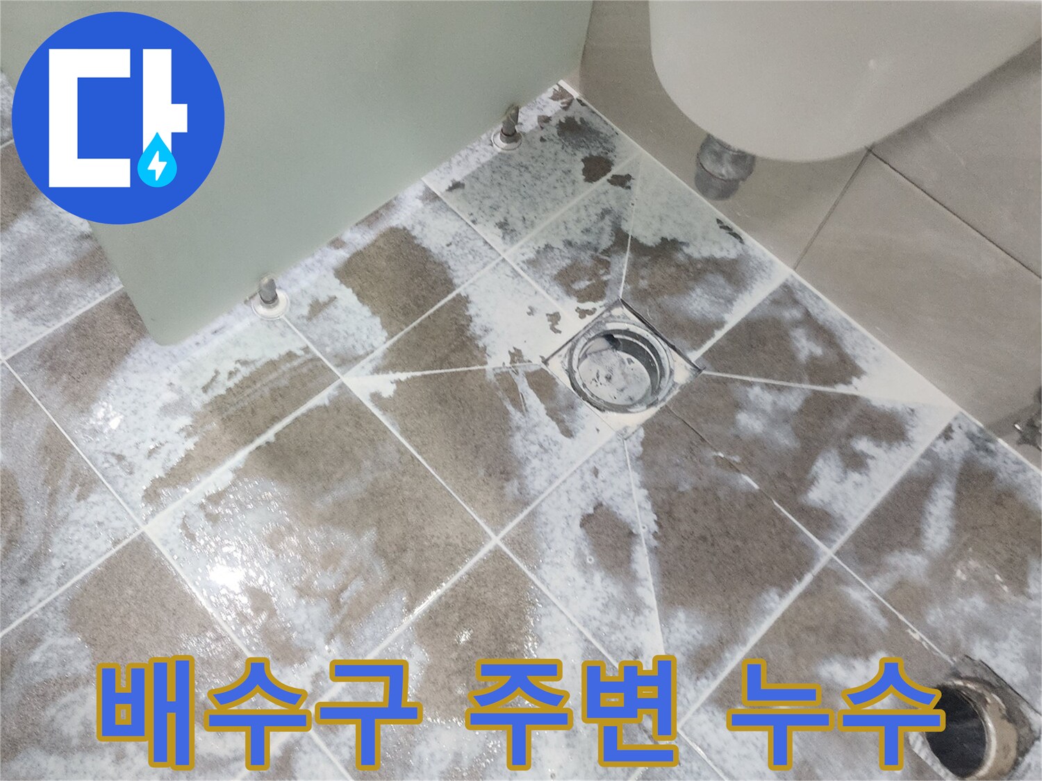 고양 일산 지역-화장실 배수구 주변에-하얗게 마른 물자국이 선명한-누수 현장을 촬영한-증거 사진