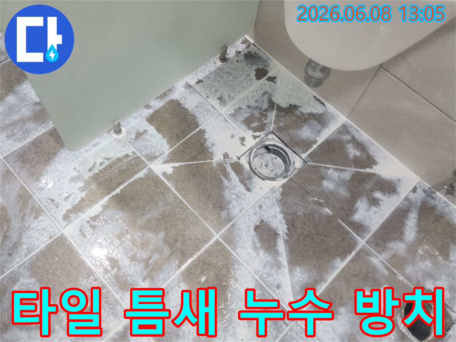 고양시 일산 욕실-바닥 타일 틈새에 보이는-하얀 물자국과 변색으로-누수가 진행되고 있음을 보여주며-방치 시 심각한 문제로 이어질 수 있음을-경고하는 현장 사진