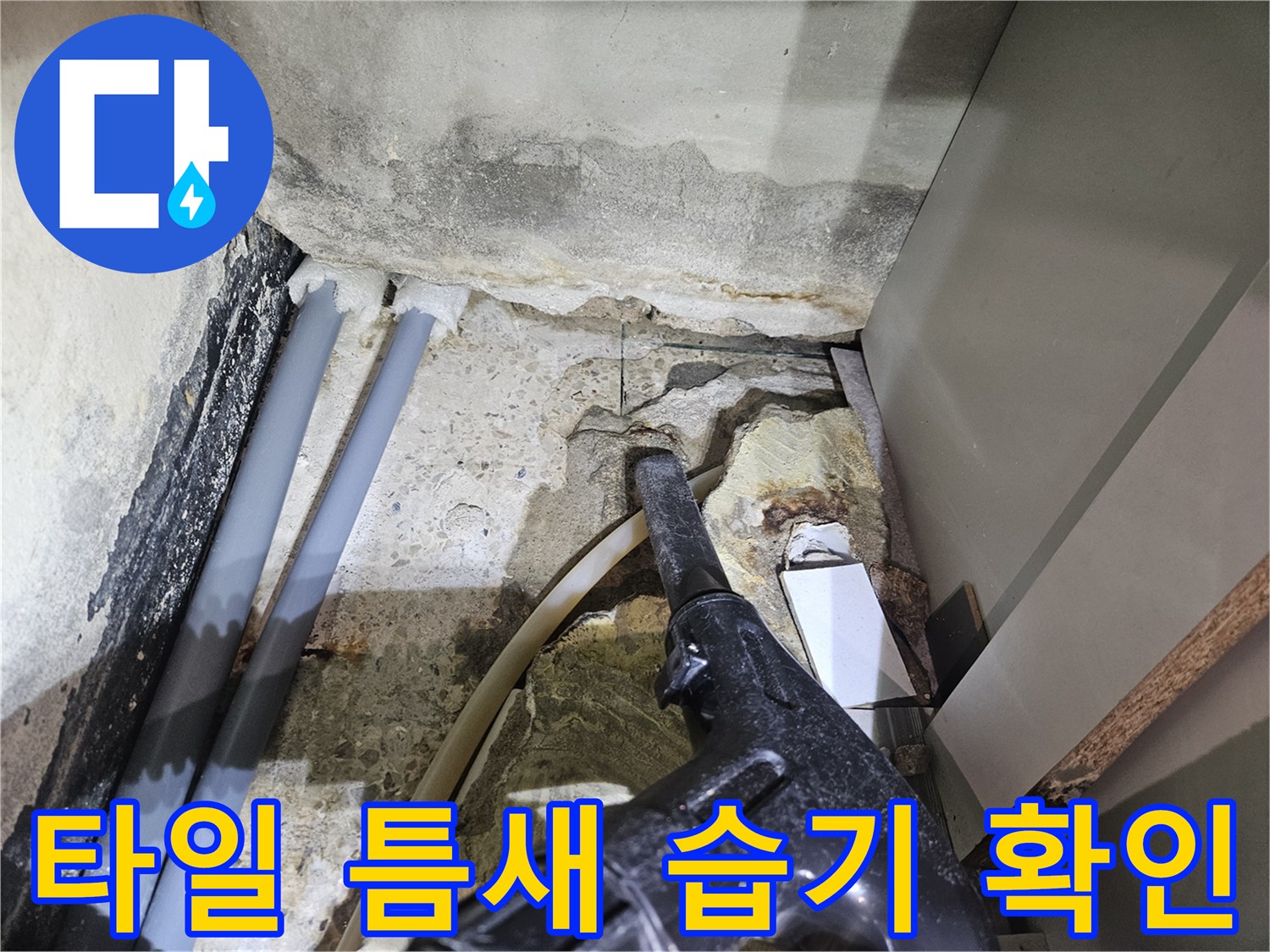 배관-주변-타일-사이-물고임-현상