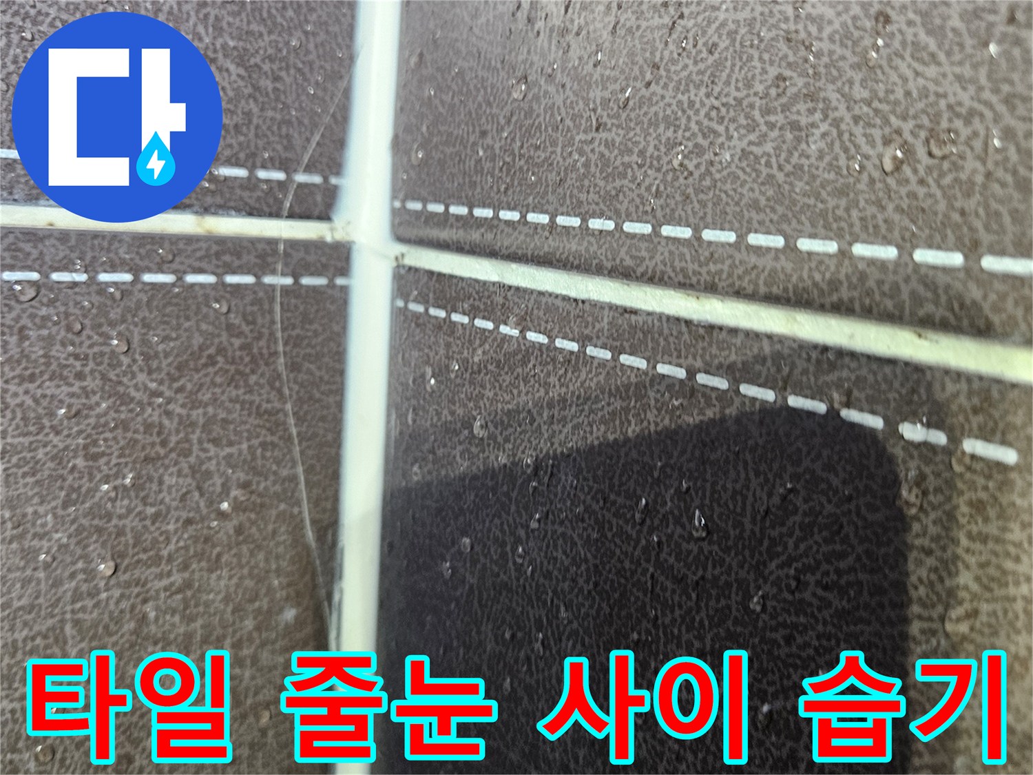 타일-줄눈-사이로-스며든-습기와-물고임-상태