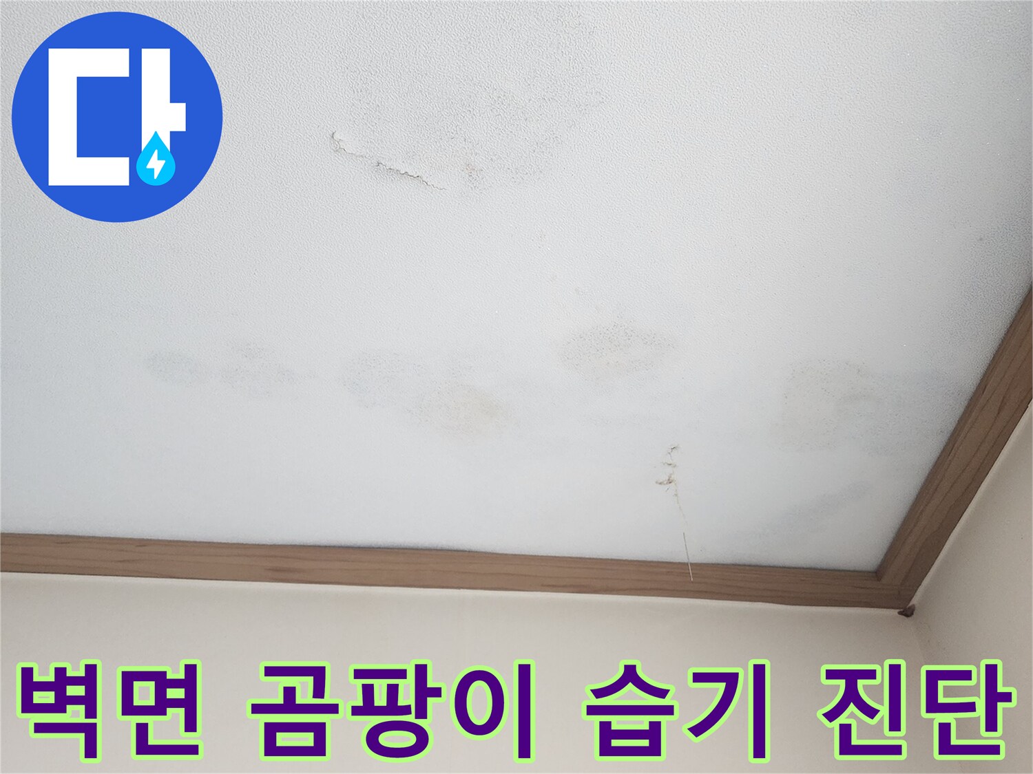 아랫집 벽면에 번식한 누수성 곰팡이와 습기-벽지 손상과 함께 눅눅한 모습으로-누수 원인과 피해 정도를 정밀하게 진단해야 합니다.