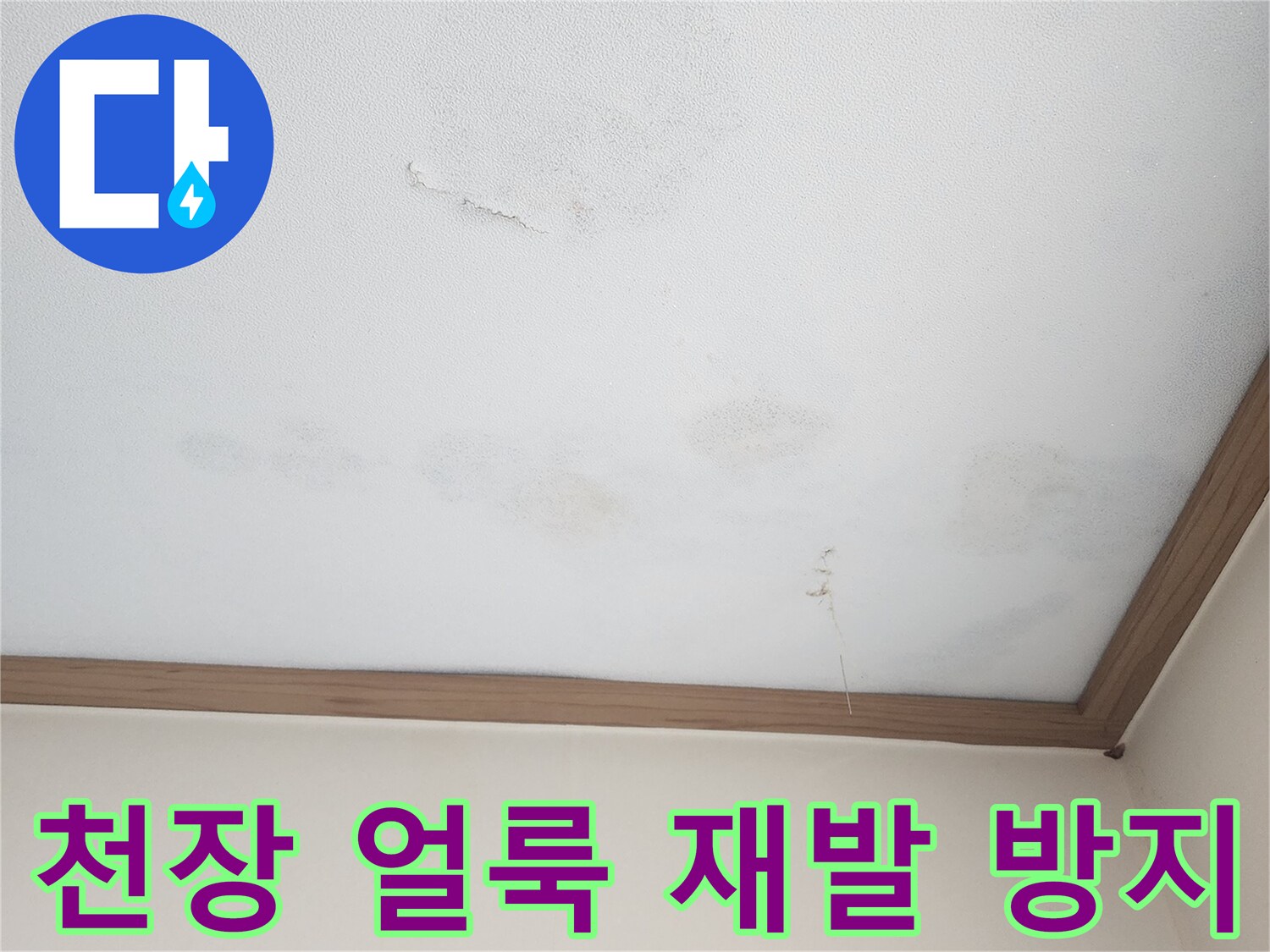 아랫집 천장에 생긴 누수 얼룩-벽지 변색과 함께 습기가 스며든 모습으로-얼룩 제거와 함께 누수 재발 방지 공사가 필수적입니다.
