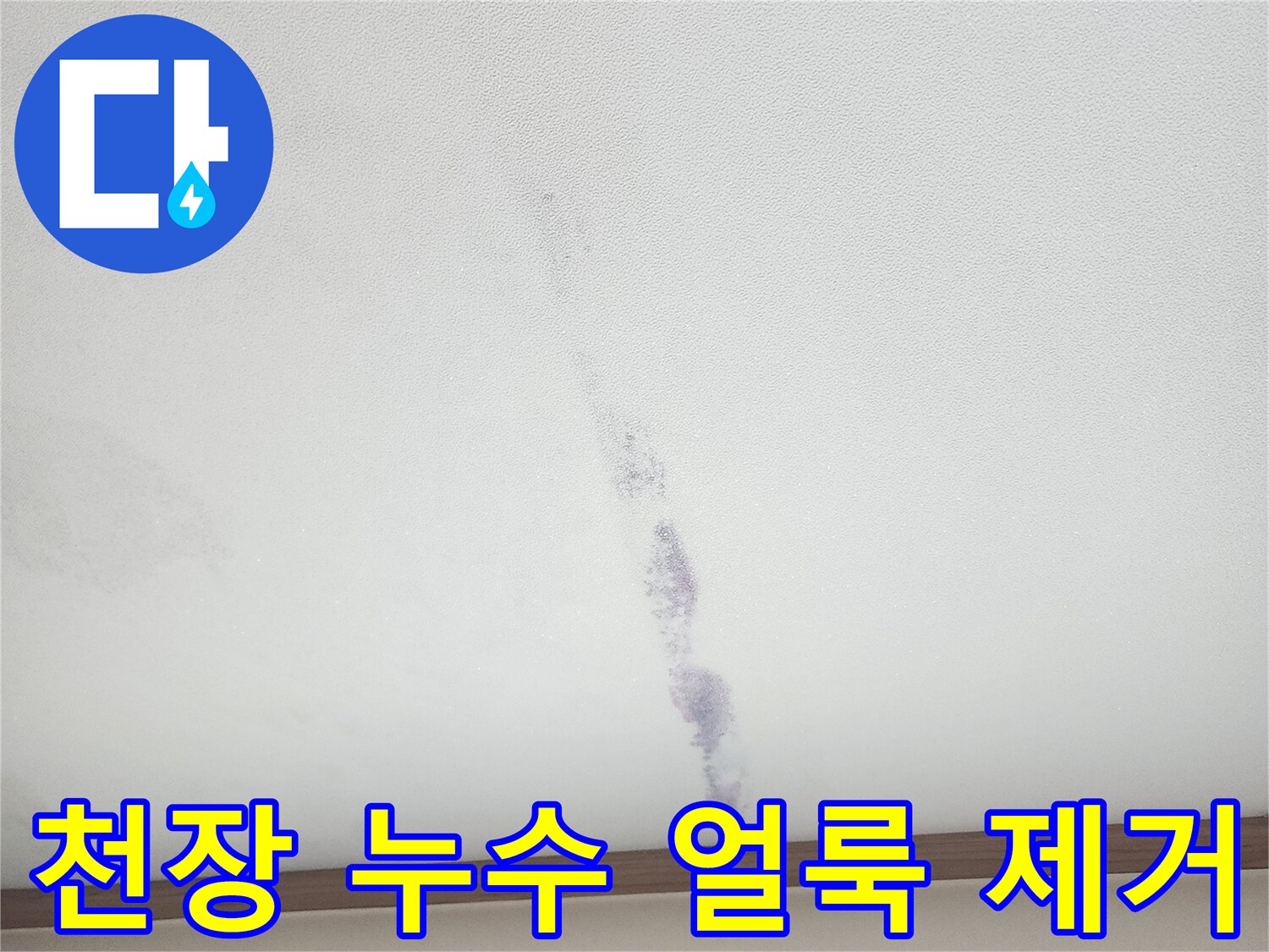 천장에 생긴-보라색 얼룩은-누수 발생의-명확한 증거이며-전문적인 제거가-필요합니다.