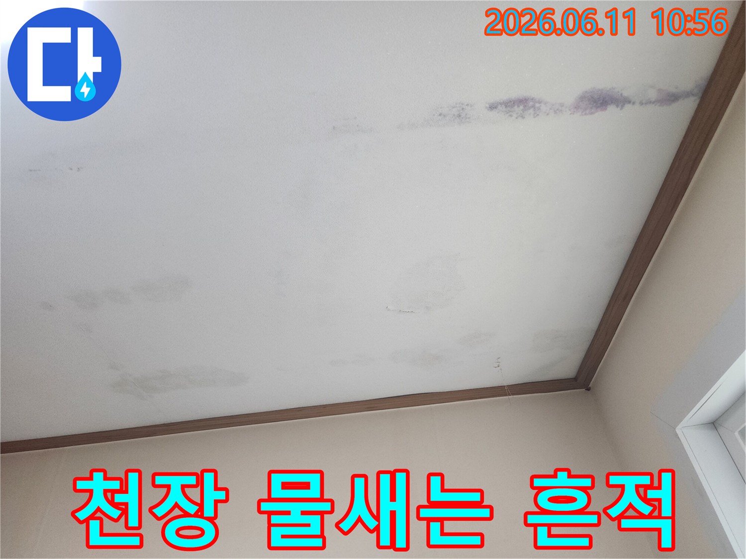 천장에서 물이-새어 나와-얼룩진 모습을-보여주는 사진