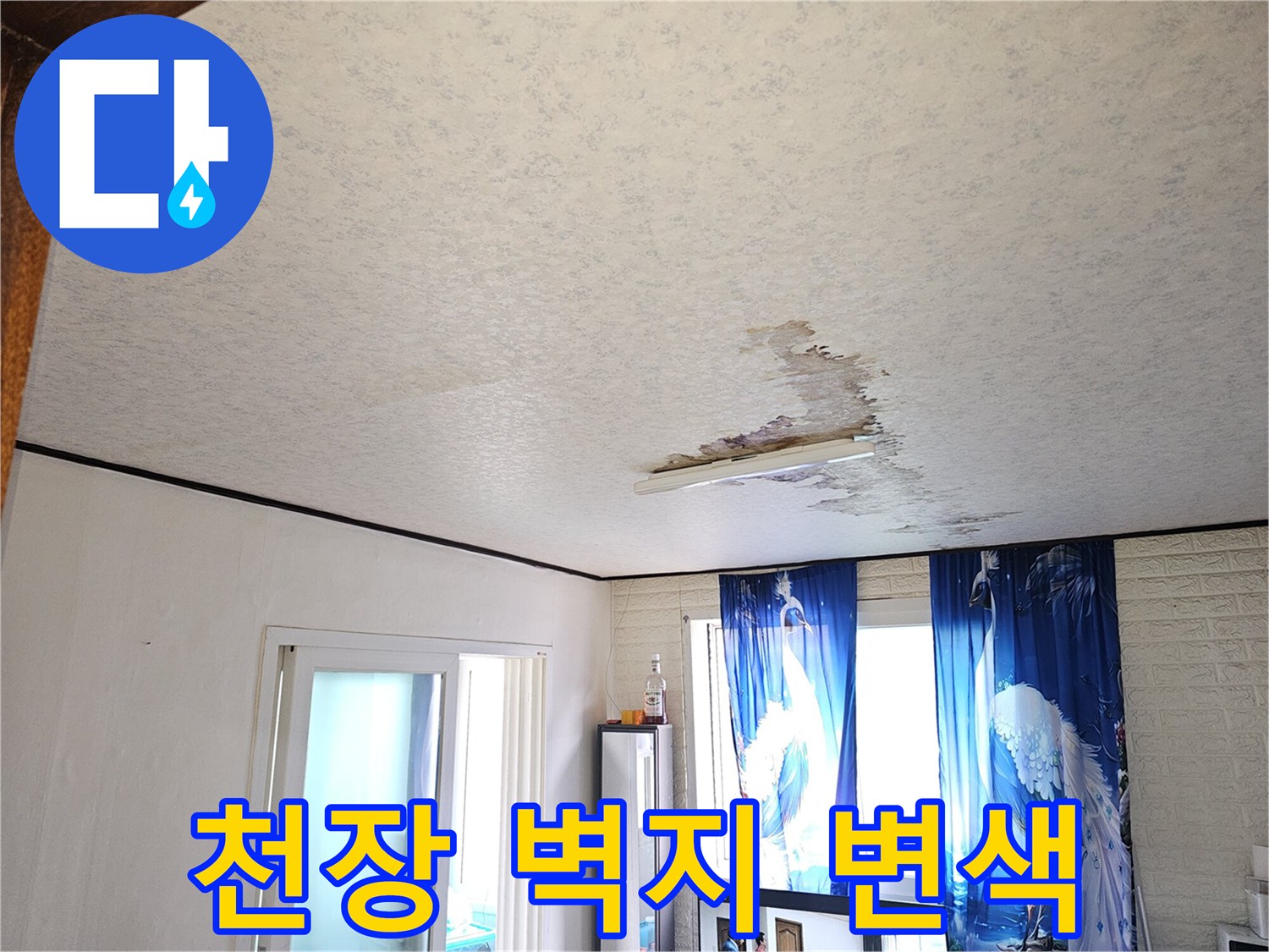 거실 천장면-물샘으로 인해 갈색으로 변한 벽지 부위