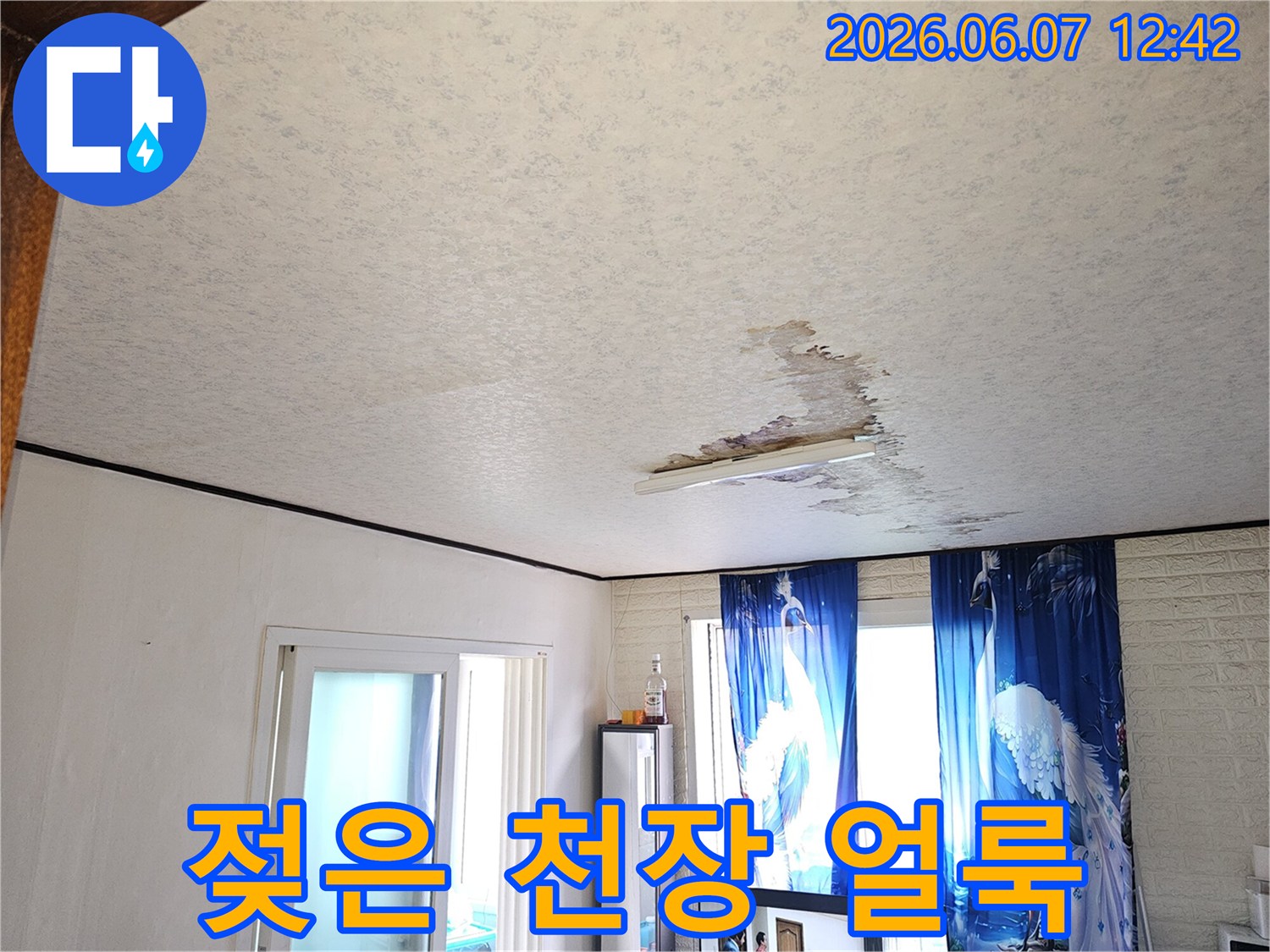 배관-문제로-천장이-젖어-곰팡이가-생기기-시작하는-누수-상황