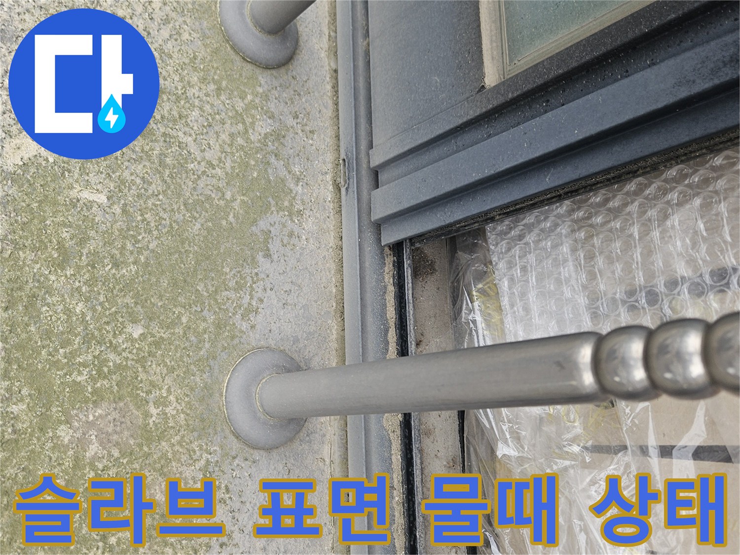 콘크리트 천장-심한 변색과 이끼가 발생한 슬라브