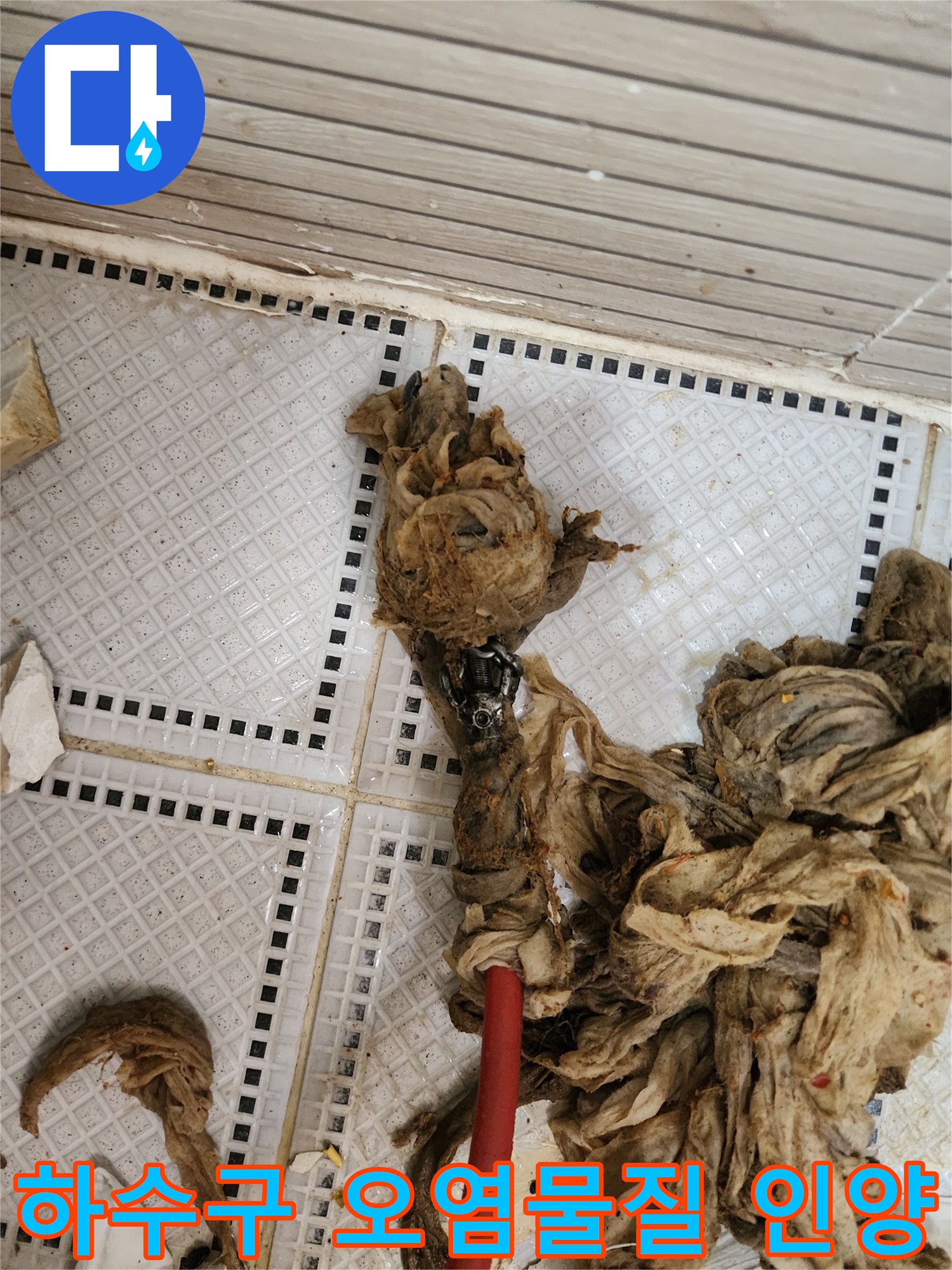 배관 내부에서 제거된 끈적한 슬러지와 머리카락 이물질