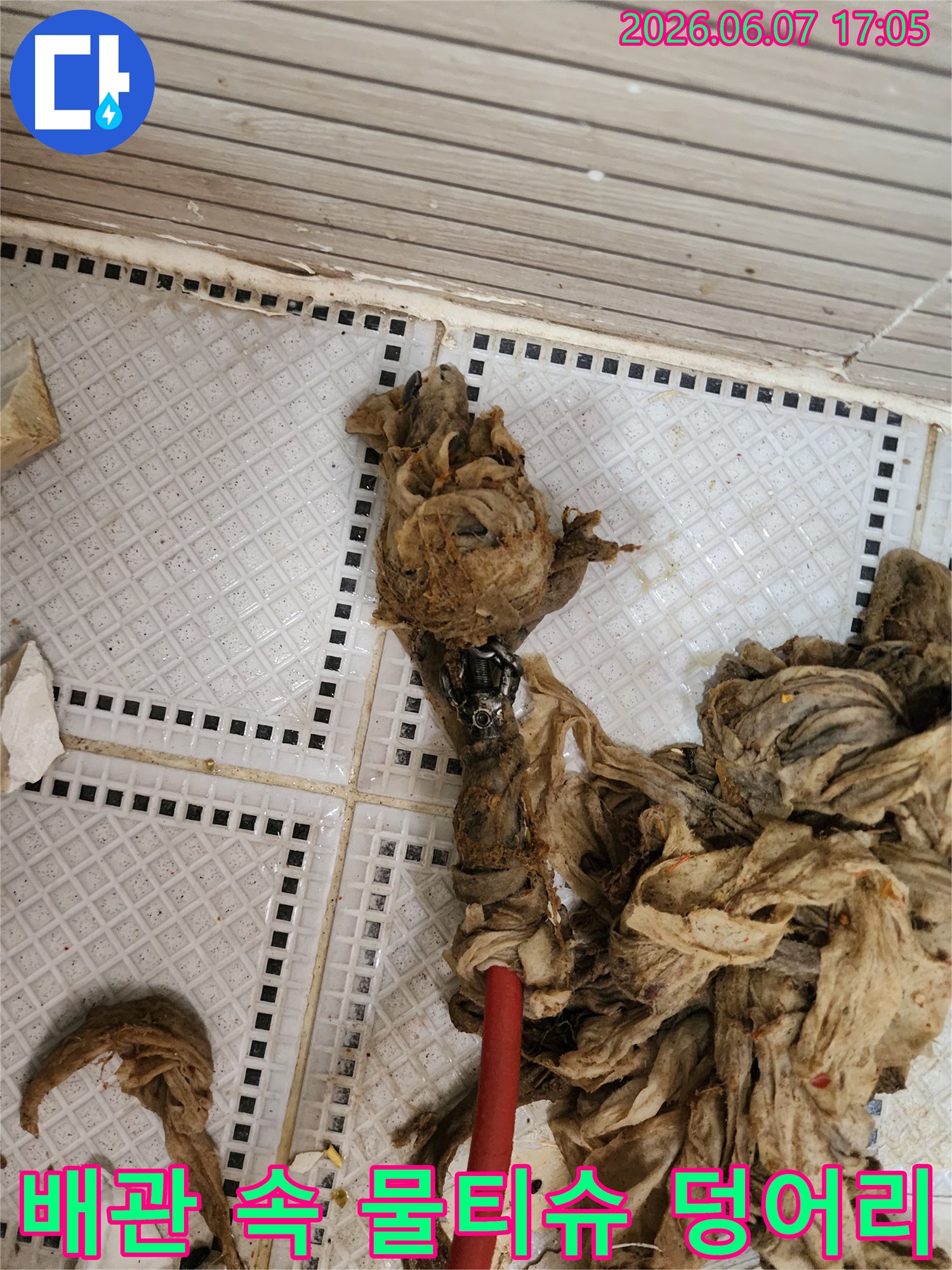 타일 바닥 배수구에서 나온 심각한 수준의 물티슈와 오물 뭉치