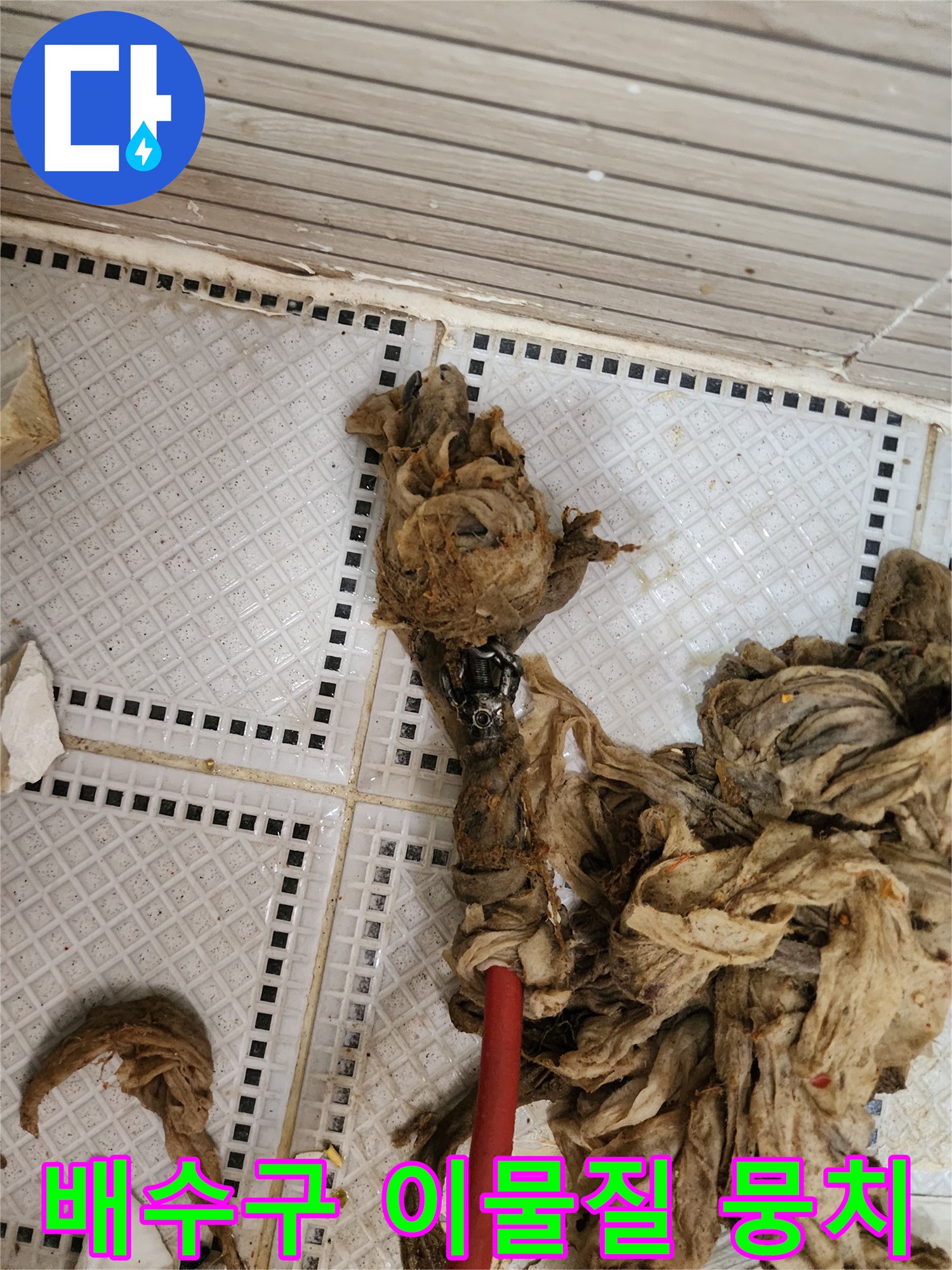 화장실 배수구에서 끌어올린 머리카락과 섬유 찌꺼기 덩어리