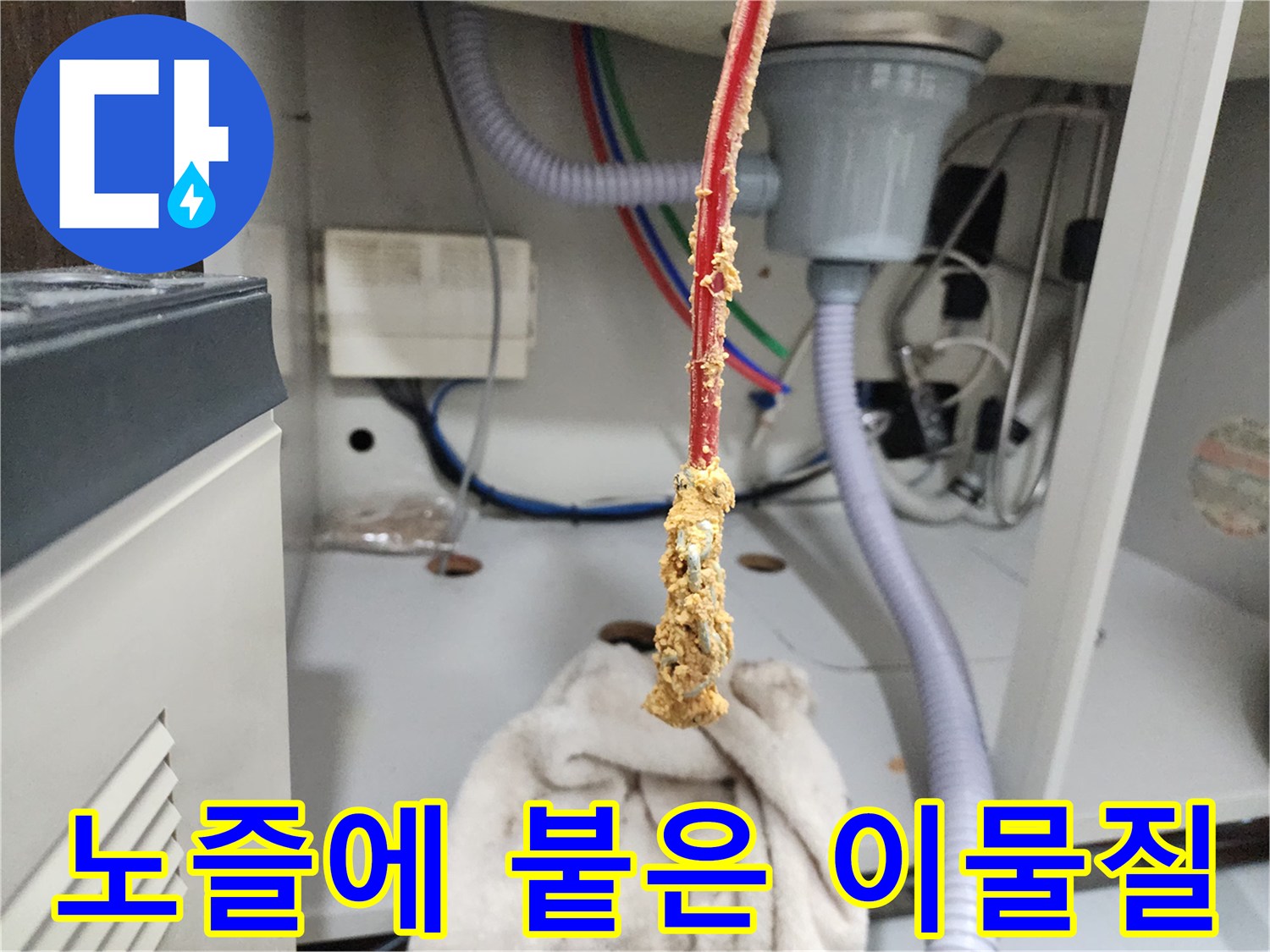 배관 세척 노즐에 묻어 나온 누런 유지방 슬러지