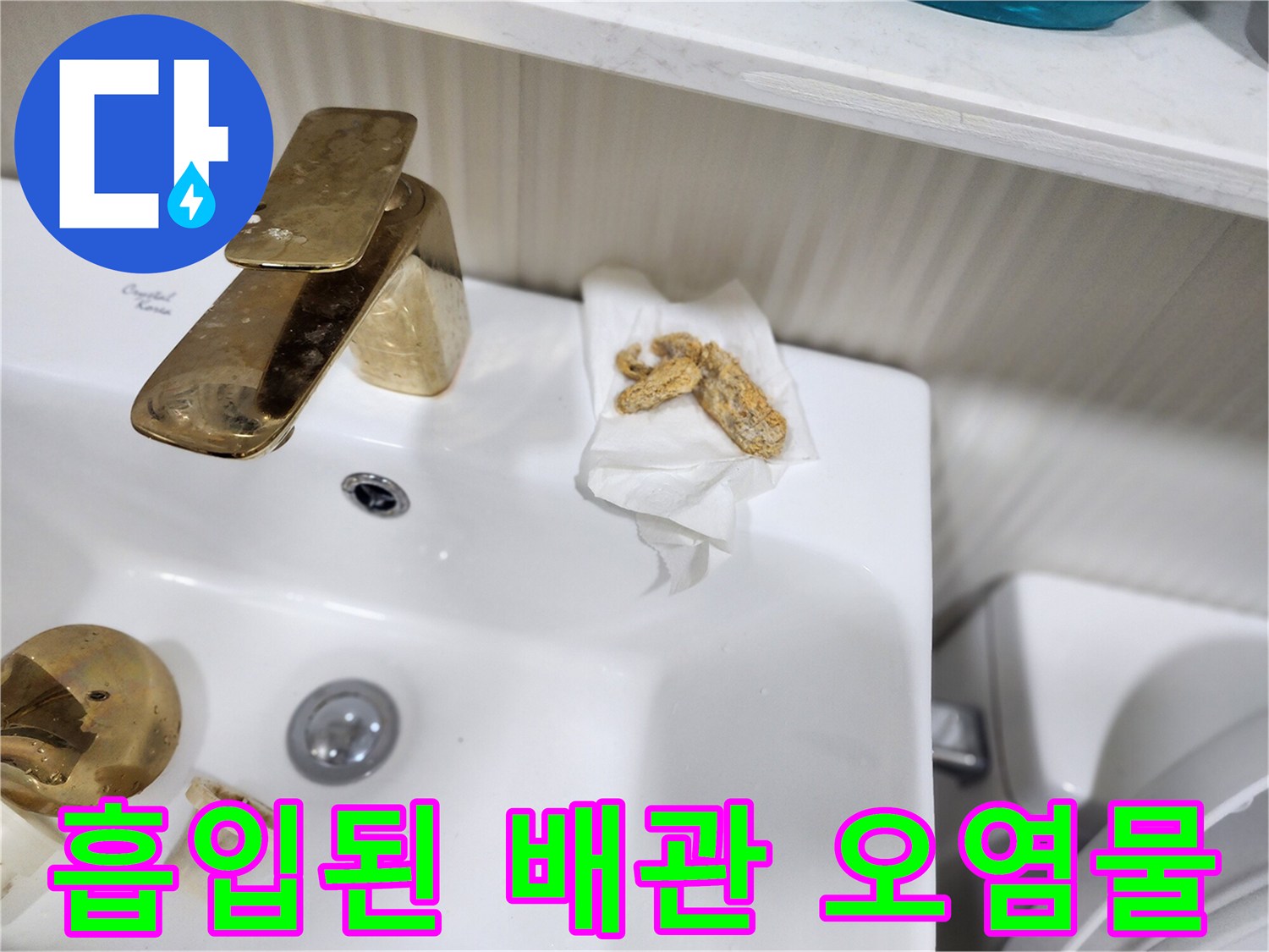 강력한 석션으로 추출해낸 배관 내 슬러지 덩어리