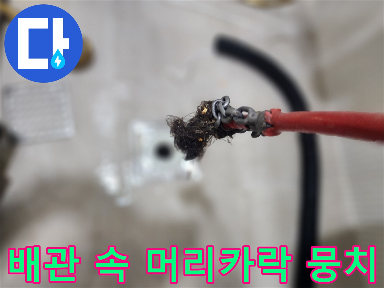 스케일링 작업 중-배관 끝에 걸려 나온 머리카락과 오물 덩어리