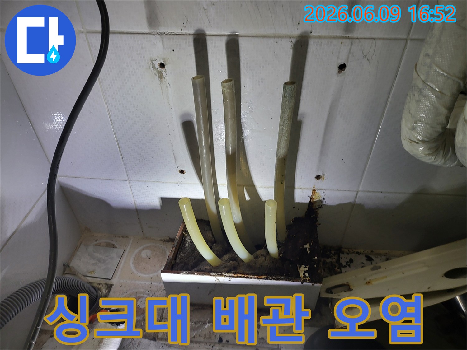 싱크대 하수구 배관 주변에서 발생한 누수로-오염과 곰팡이가 심하게 번식한 모습입니다