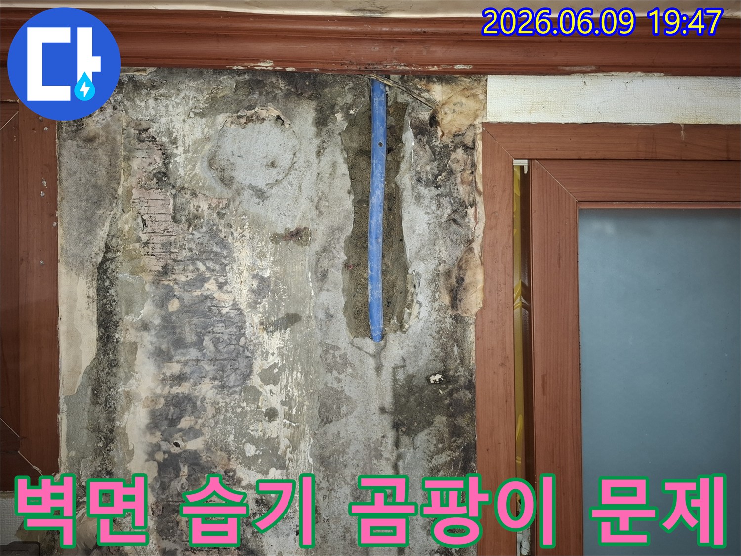 빌라-벽면-누수로-인한-심각한-습기-및-곰팡이-발생과-노출된-배관-상태-사진