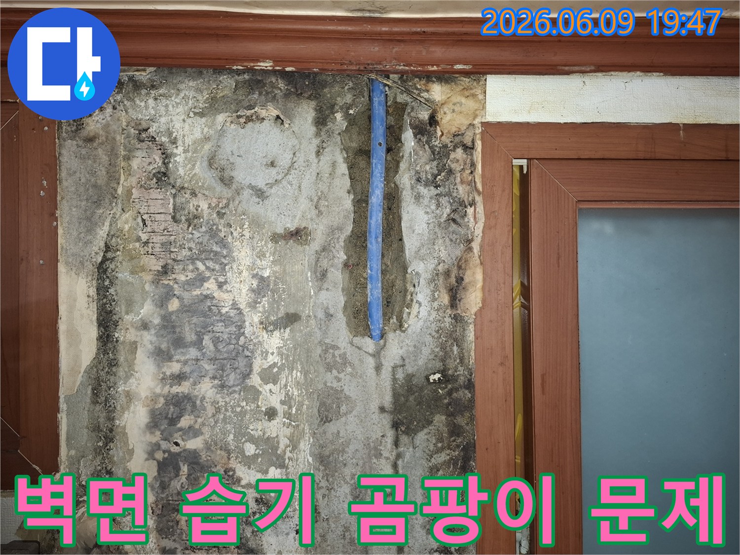 빌라-벽면-누수로-인한-심각한-습기-및-곰팡이-발생과-노출된-배관-상태-사진