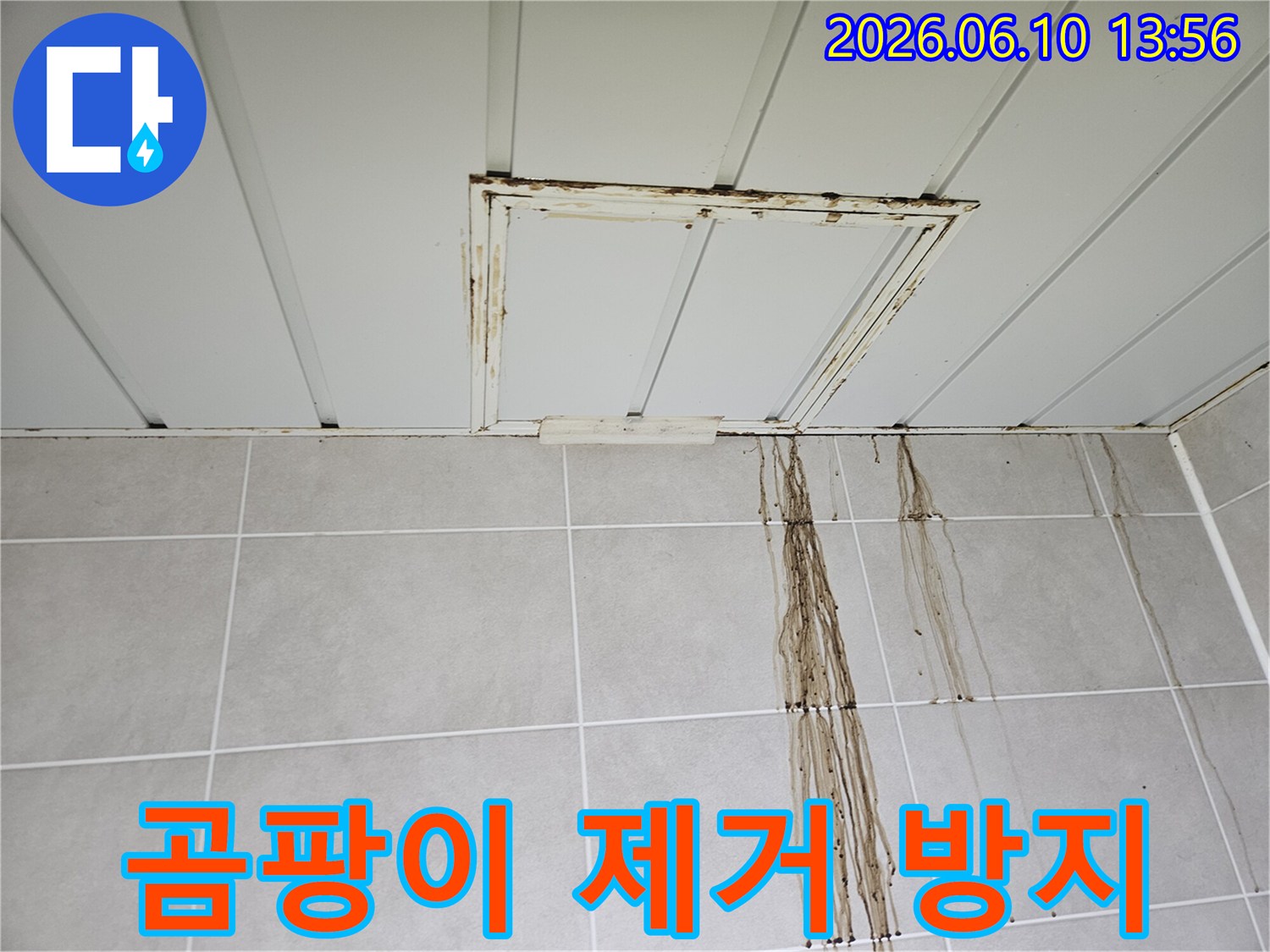 심각한 물샘으로-천장과 벽면에 갈색 물자국이 선명하게 남아있는 주택 누수 상황입니다.