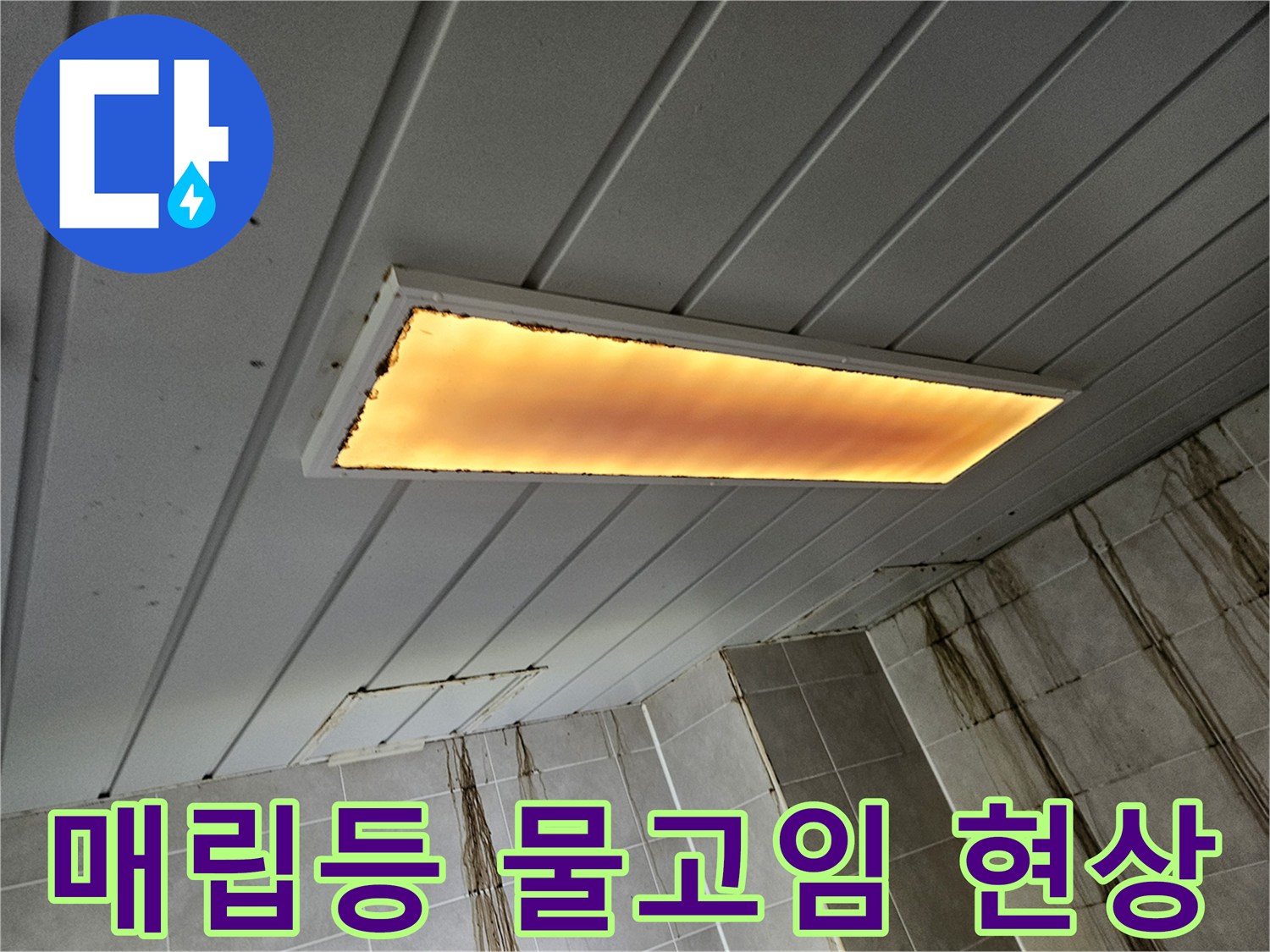 천장 조명 내부의 물 고임 상태-전기 설비 누수 위험