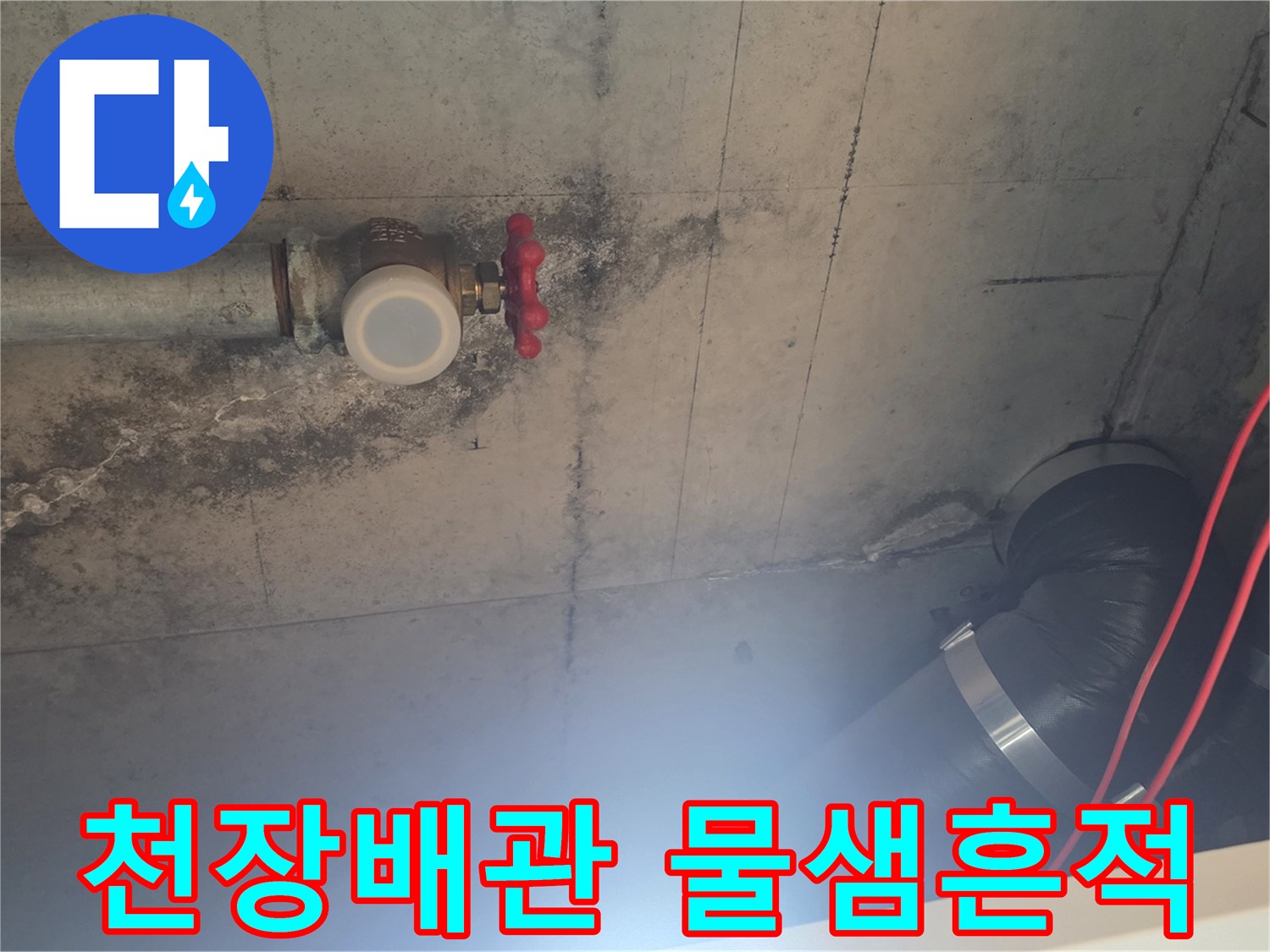 안양 비산동 아파트 화장실 천장 배관 주변의 콘크리트 변색 상태를 보여주는 사진입니다.
