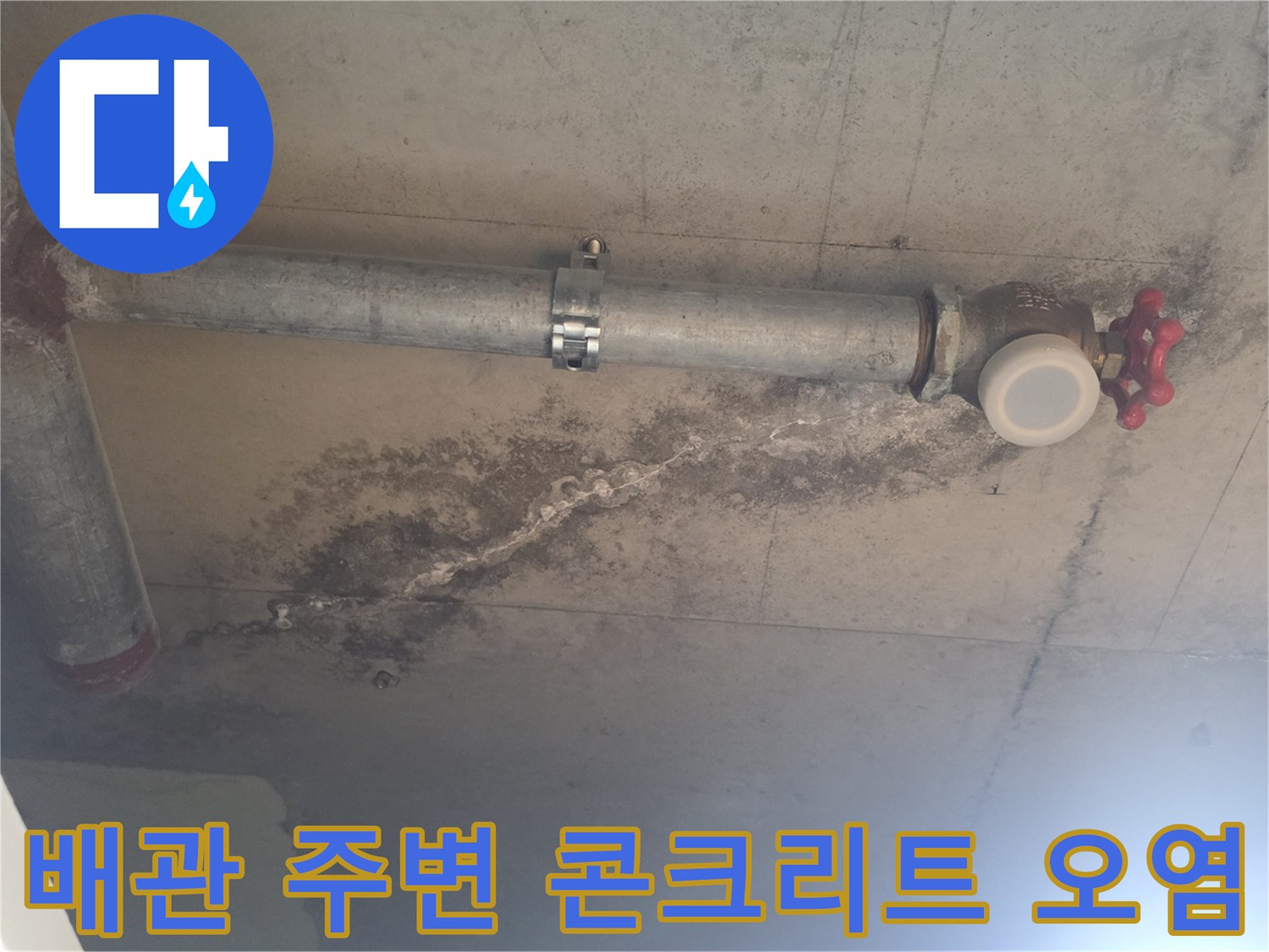 안양 비산동-화장실 천장 배관 근처의 젖은 콘크리트와 변색 부위
