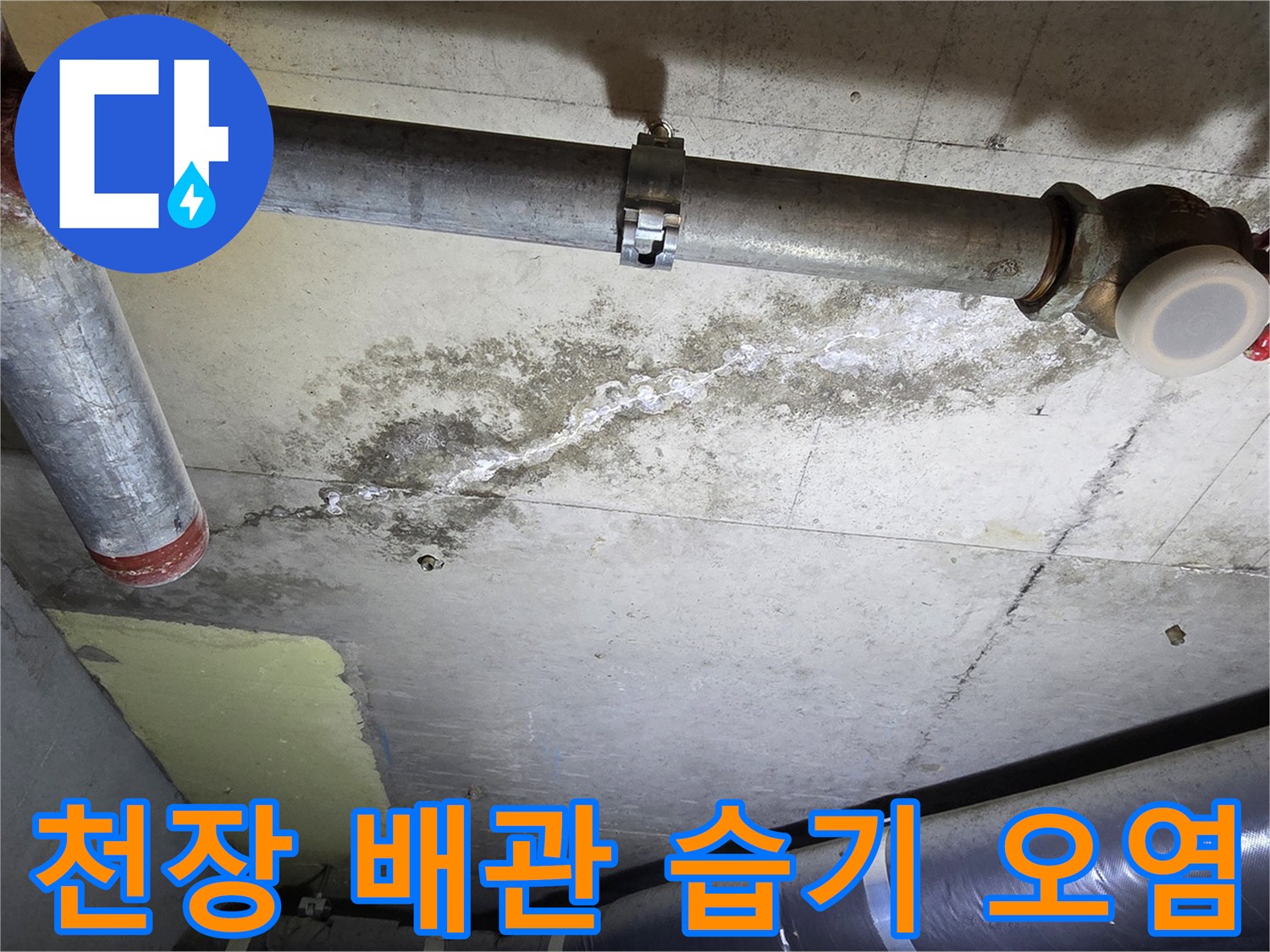 화장실-천장-배관-주위의-습윤한-콘크리트-상태