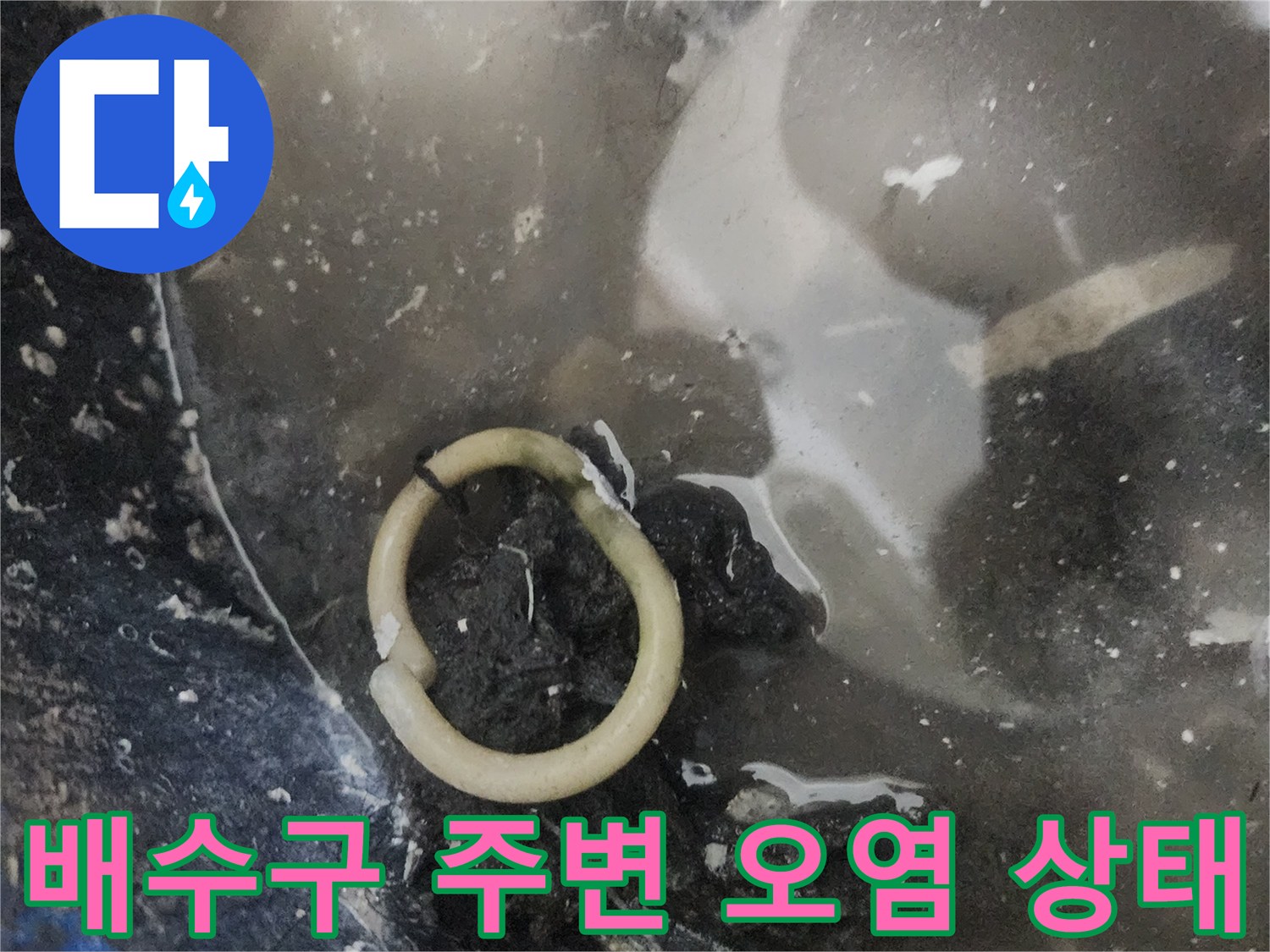 화장실-배수구-주변의-이물질과-오염된-상태