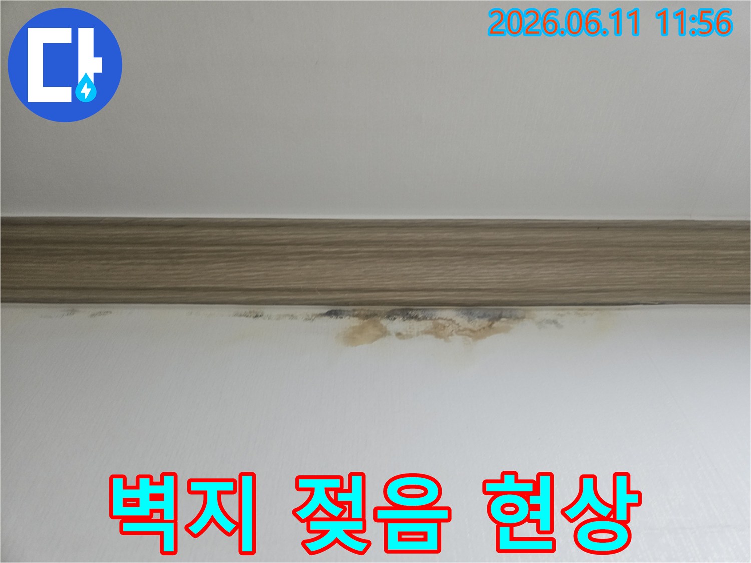 벽지-젖음과-곰팡이로-누수-문제가-확인된-현장-사진입니다