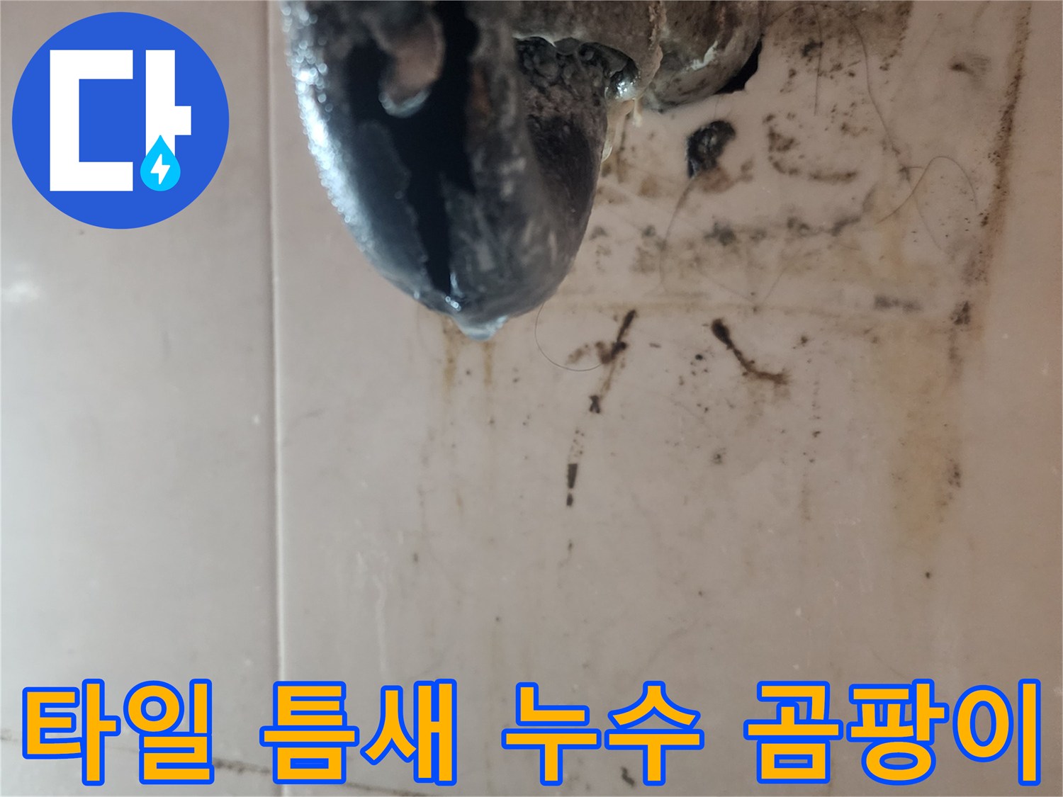 타일-틈새와-배관-주변에-발생한-심각한-곰팡이와-누수-흔적을-보여주는-이미지입니다