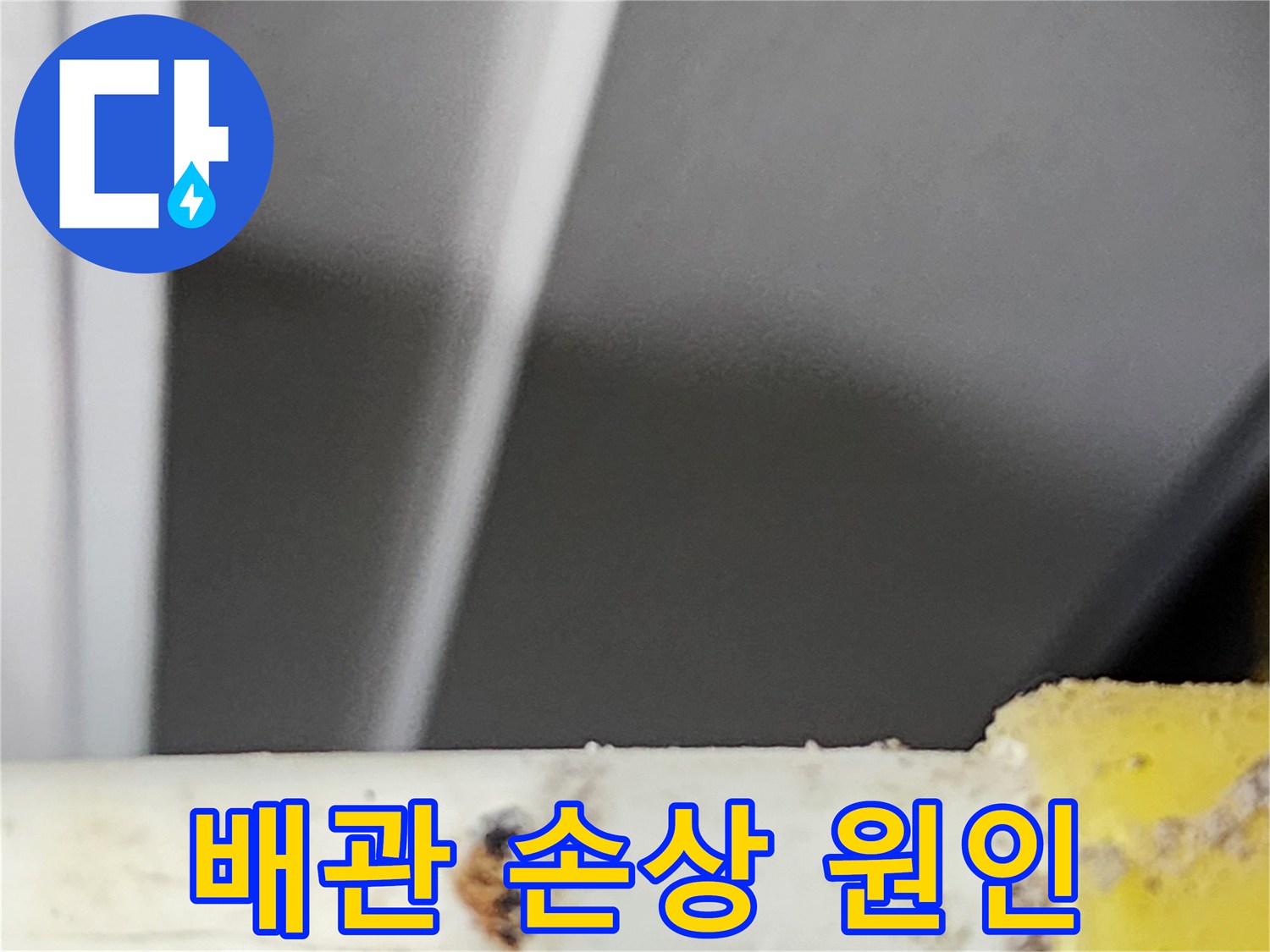 숙련된-전문가가-동대문구-주택에서-탐지한-물-새는-곳의-확대-사진입니다