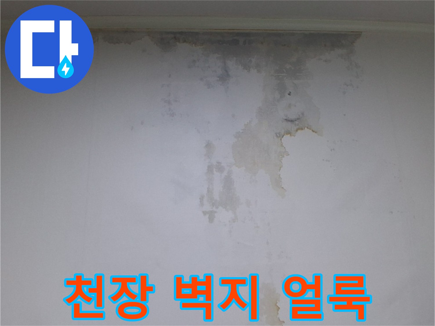 시흥 진말동 아파트 천장 벽지에 발생한 누수 흔적과 곰과 곰팡이 상태