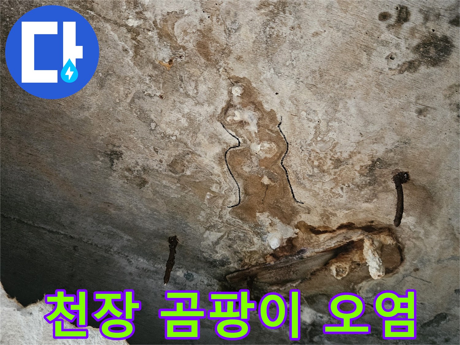 습기-와-곰팡이가-심한-천장-배관-주변