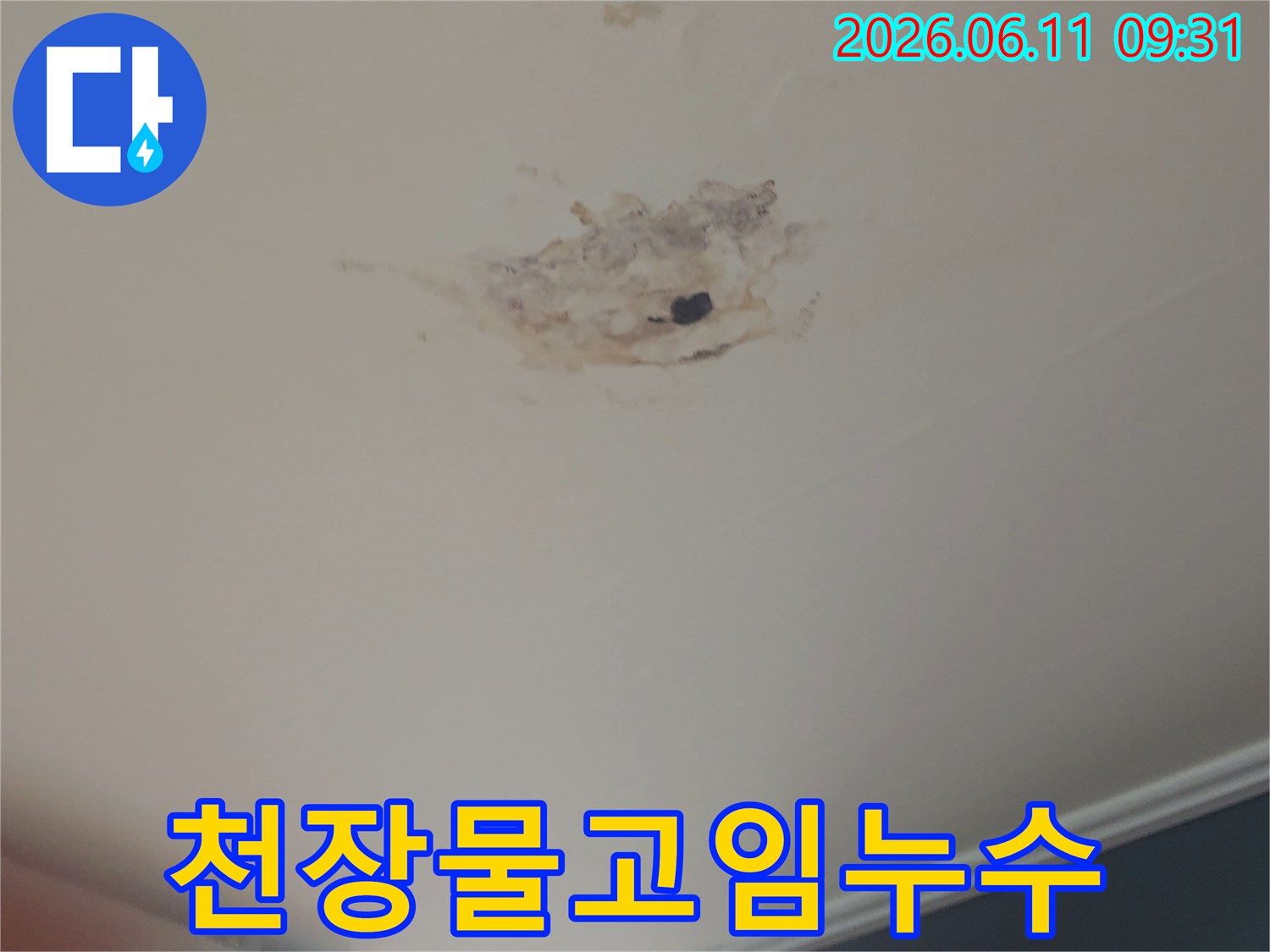 천장-중앙에-물이-고여-있고-주변이-심하게-손상된-누수-현장-사진