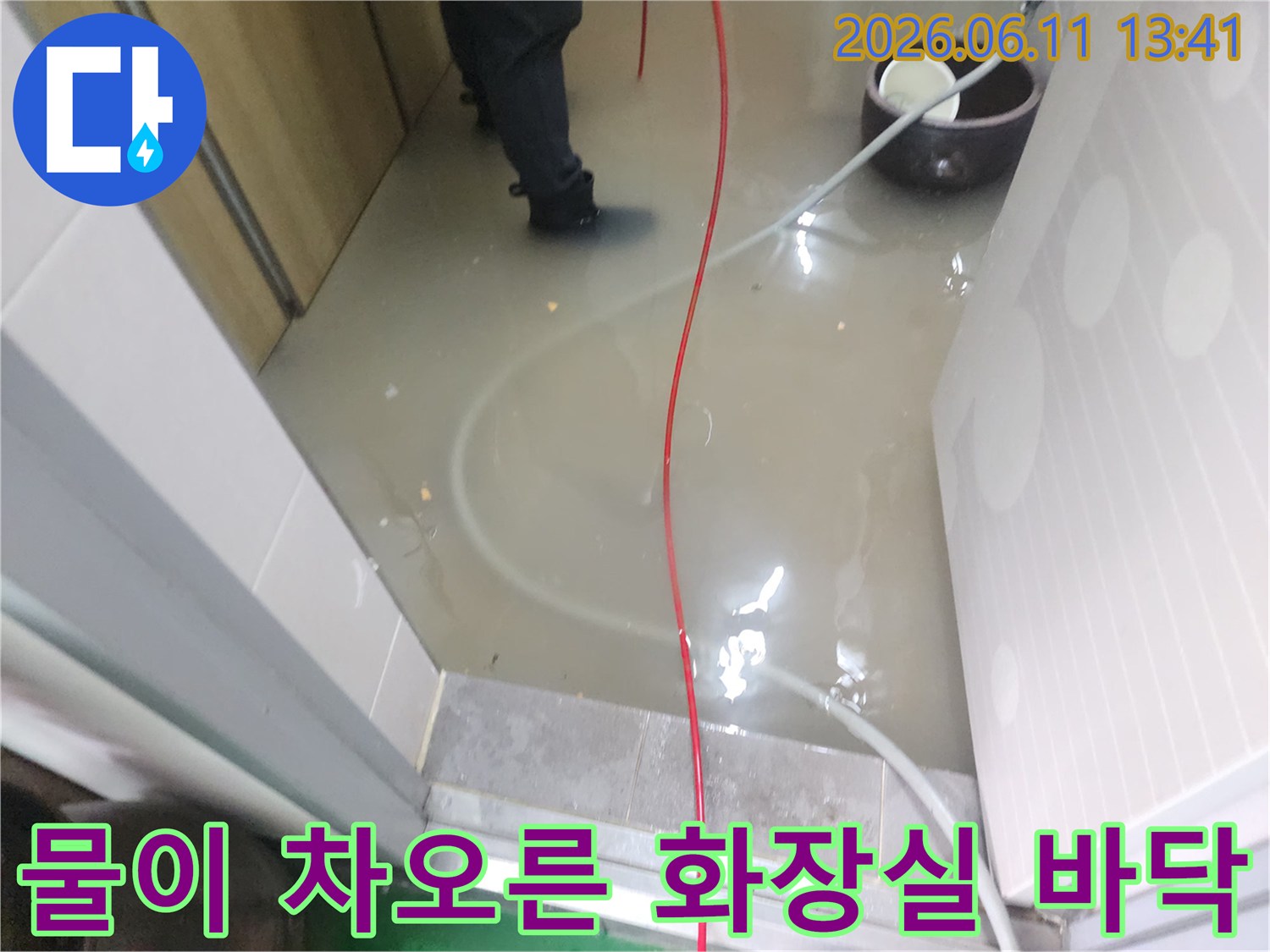 화장실 바닥 타일 위로 오수가 가득 차 있는 역류 현장입니다.