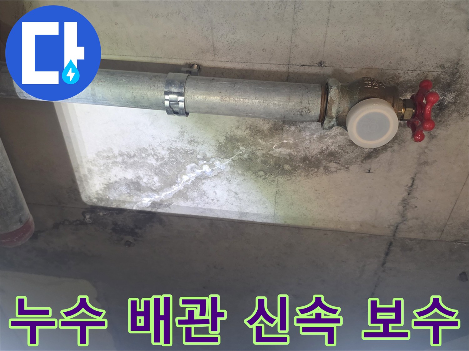 이 사진은 낡은 배관에서 물이 새어-천장 콘크리트에 스며들어-하얀 물 자국과-검은 곰팡이가 생긴 모습입니다