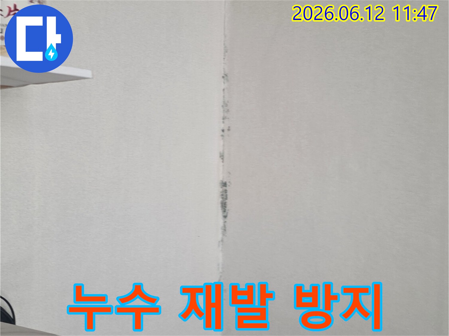 천장 모서리에 검은 곰팡이가 번져 있어-누수 해결 후 재발 방지를 위한 철저한 대책이 필요함을 보여줍니다.