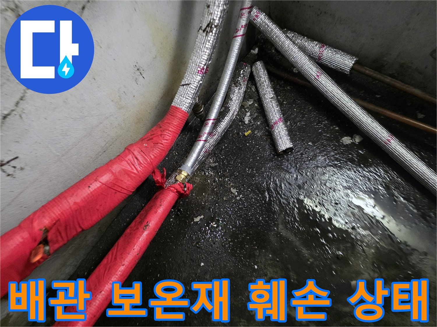 지하층-배관의-보온재가-찢어진-모습입니다