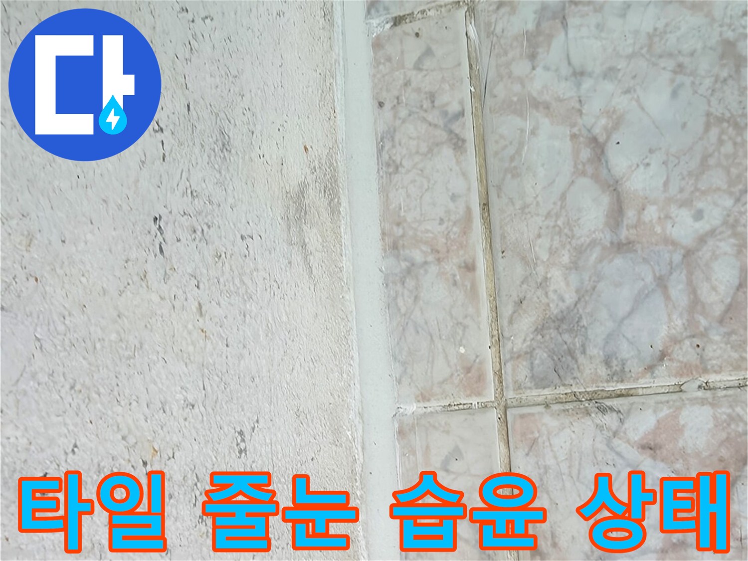 교문동 현장-물기가 스며든 타일 줄눈과 벽면 접합부