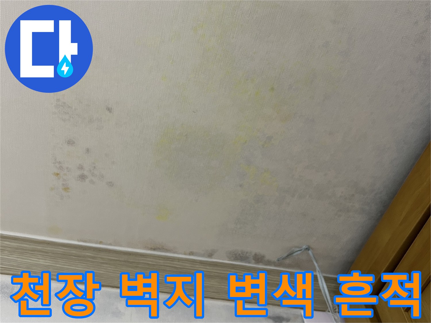 연수구 아파트 안방 천장 벽지에 나타난 노란색 물샘 자국과 곰팡이 현상