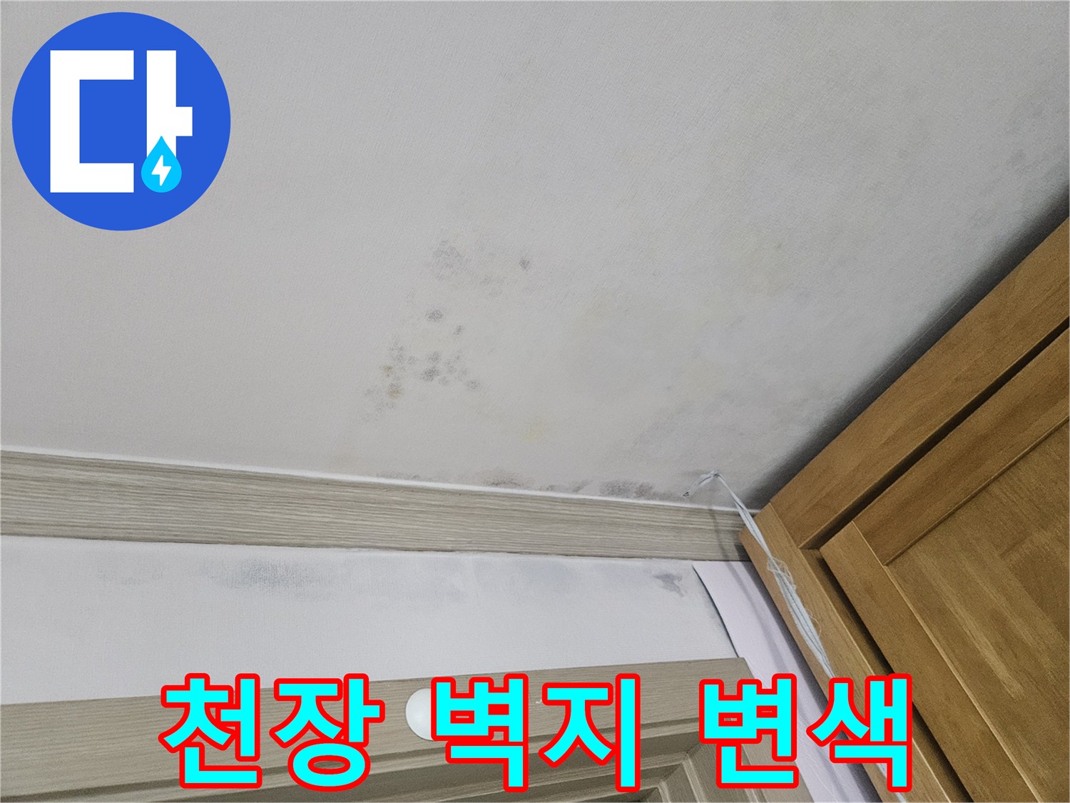 천장 몰딩 부근-넓게 퍼진 누수 얼룩과 벽지 젖음 현상