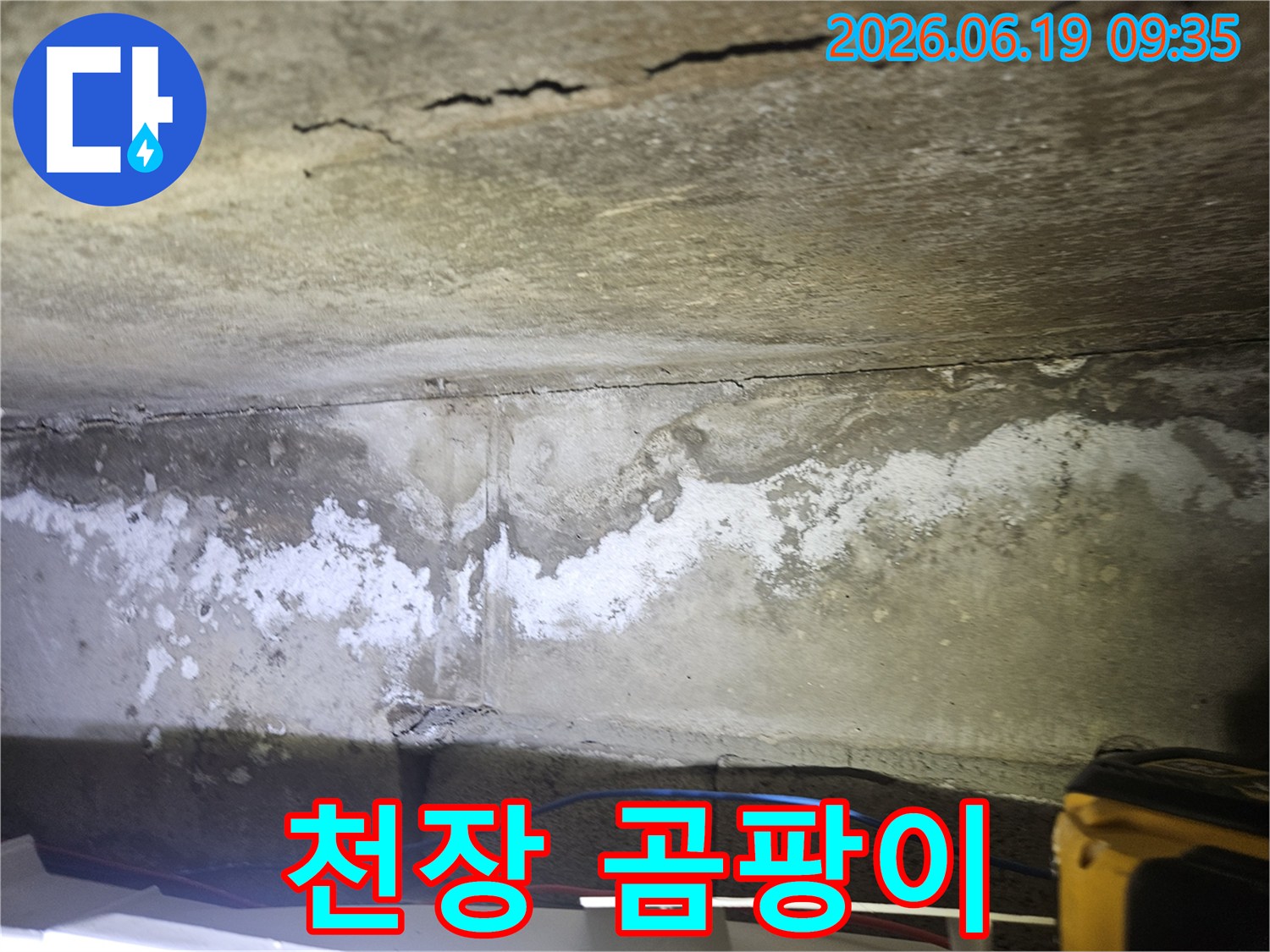 천장 콘크리트 표면에-물기로 인한-곰팡이와-백화 현상이-함께-나타난-누수 현장