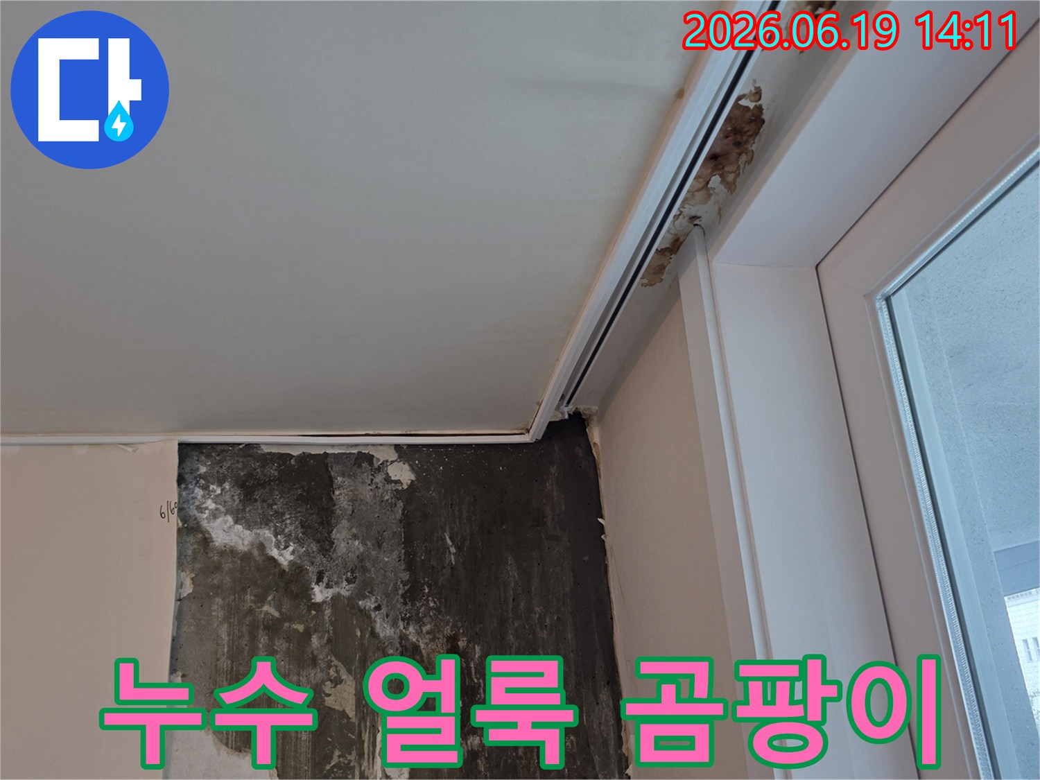 천장-누수로-인해-벽면에-선명한-얼룩과-함께-곰팡이가-번져-있는-아파트-내부-피해-현장-사진