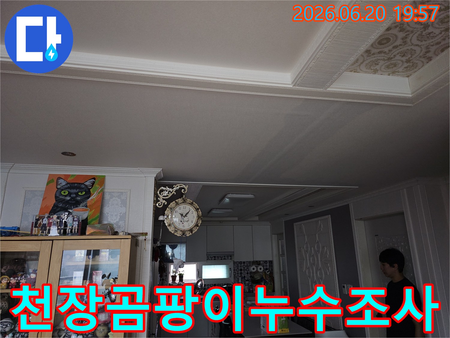 안산-비발디파크-천장에-발생한-곰팡이와-누수-흔적을-전문가가-조사하는-모습입니다