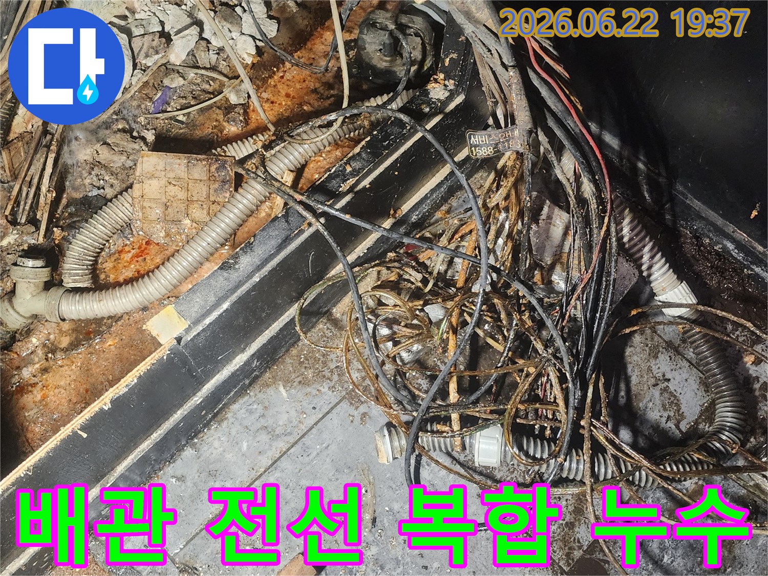 누수-엔지니어가-배관과-전선이-복잡하게-얽힌-누수-현장에서-물에-젖고-부식된-부분을-정밀하게-조사하고-있습니다