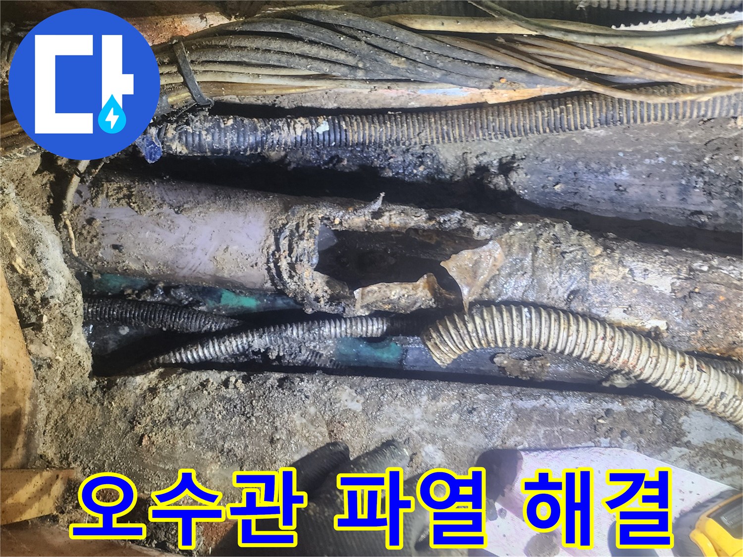 오수관이-파열되어-누수가-발생한-현장에서-전문가가-위생-문제를-해결하는-모습