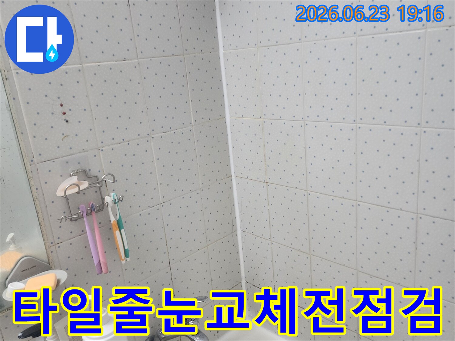 동대문구-사가정로-화장실-누수-타일-줄눈-교체-전-정밀-점검-모습