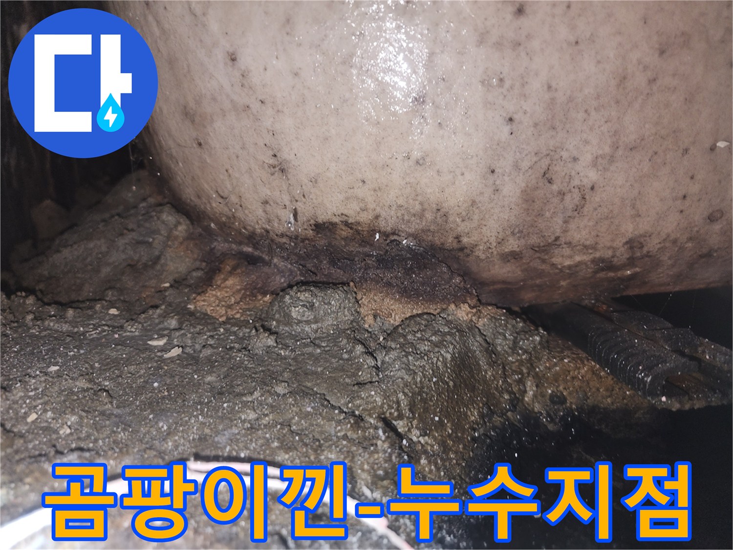 물이 새는 곳 주변의 흙과 콘크리트가 부식되어 검게 변색된 누수 흔적