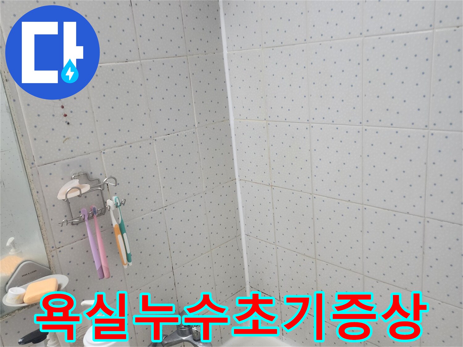 욕실-누수-초기-증상-확인-타일-줄눈-변색-및-실리콘-손상-점검-과정