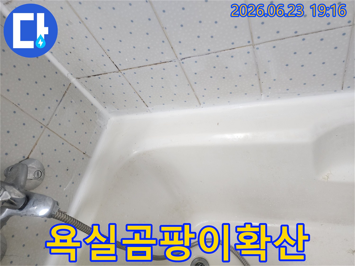 욕실-타일-줄눈과-욕조-실리콘에-광범위하게-퍼진-검은-곰팡이-현상